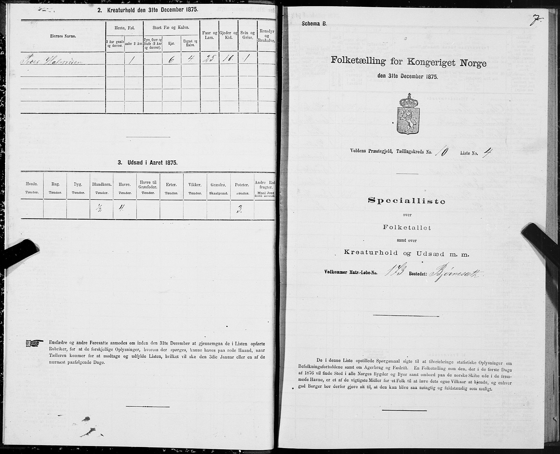 SAT, Folketelling 1875 for 1519P Volda prestegjeld, 1875, s. 6007