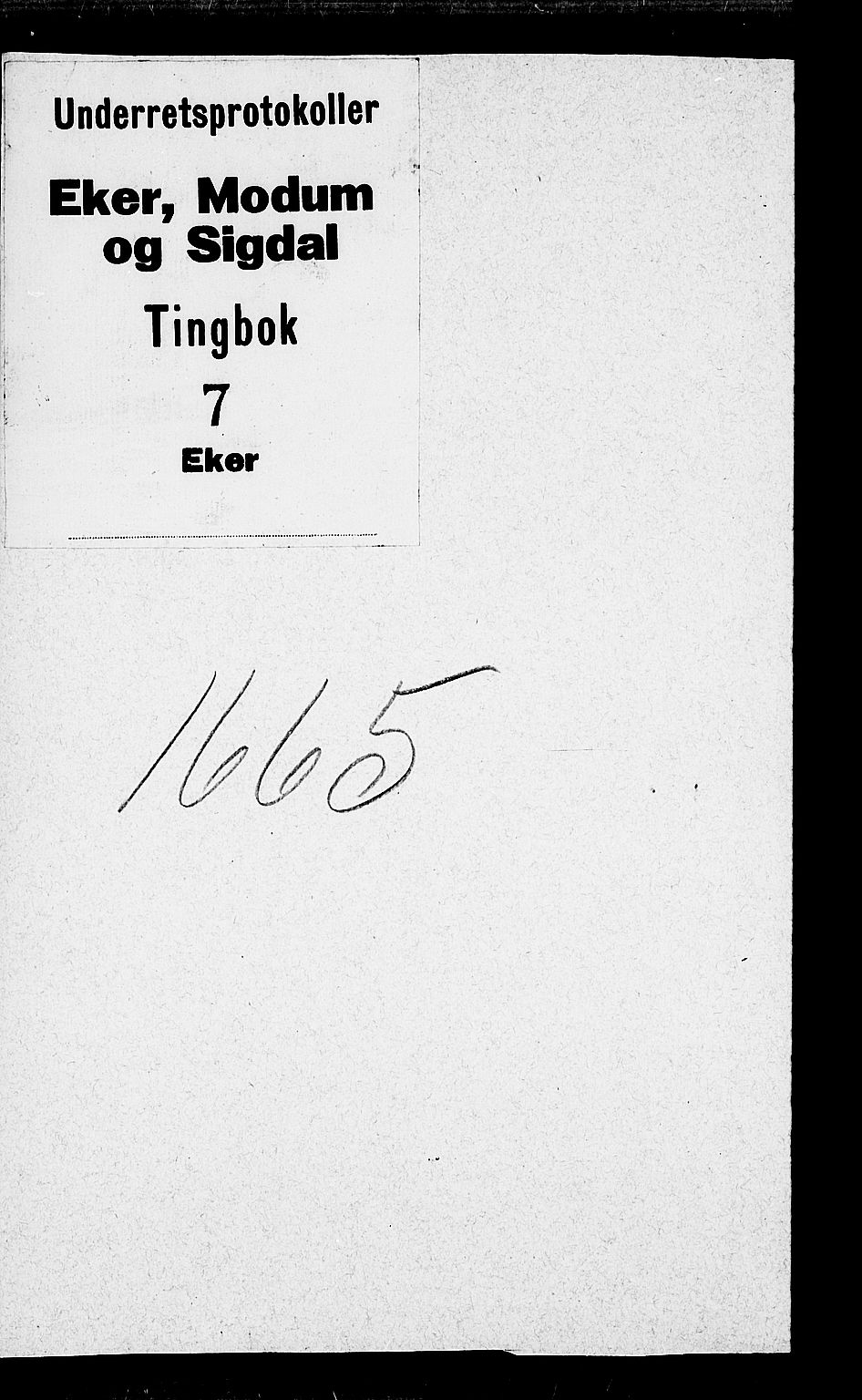 Eiker, Modum og Sigdal sorenskriveri, SAKO/A-123/F/Fa/Faa/L0007: Tingbok, 1665