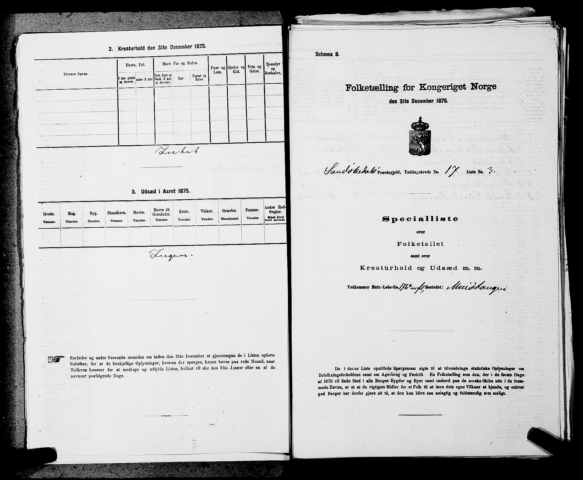 SAKO, Folketelling 1875 for 0816P Sannidal prestegjeld, 1875, s. 1317