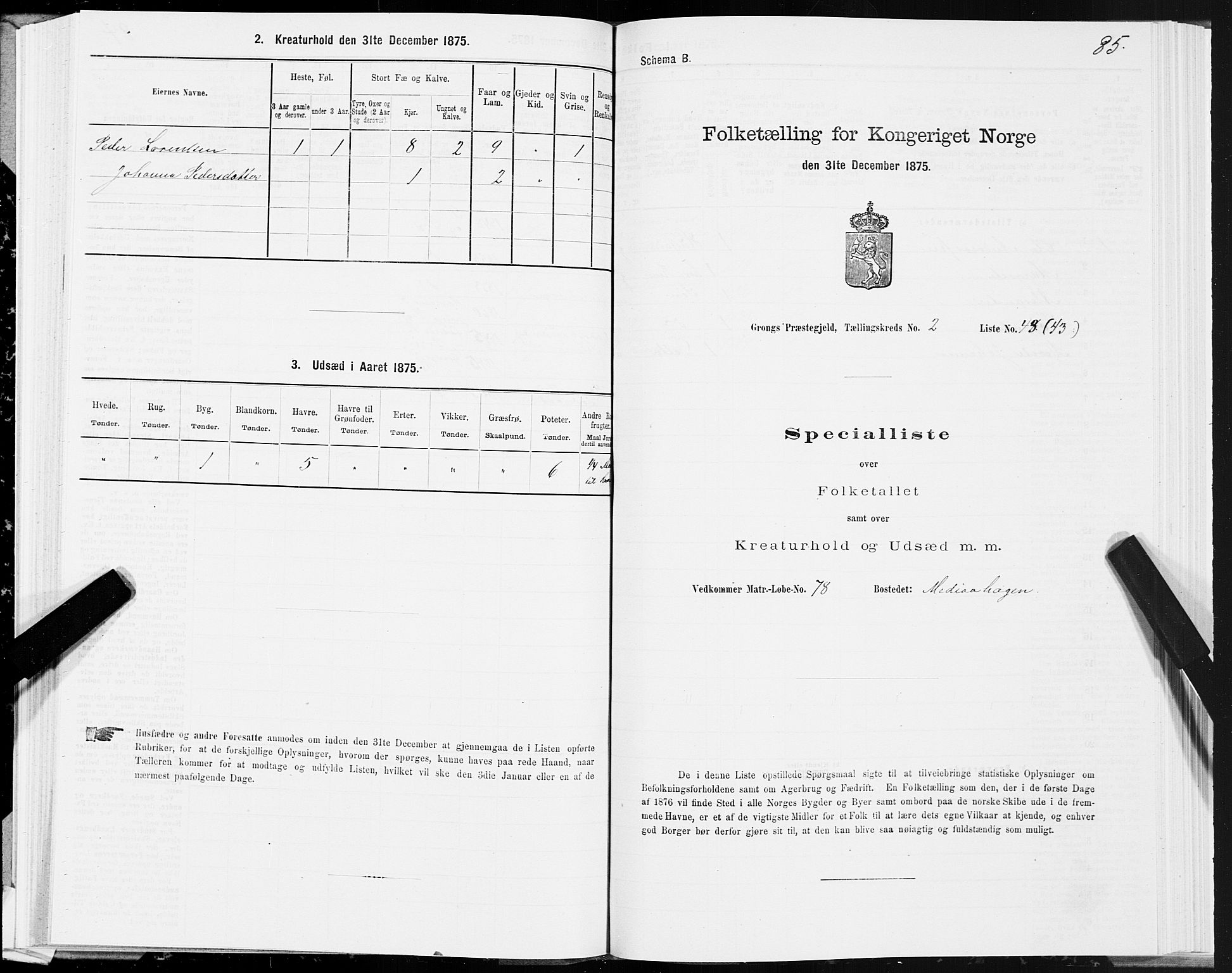 SAT, Folketelling 1875 for 1742P Grong prestegjeld, 1875, s. 2085