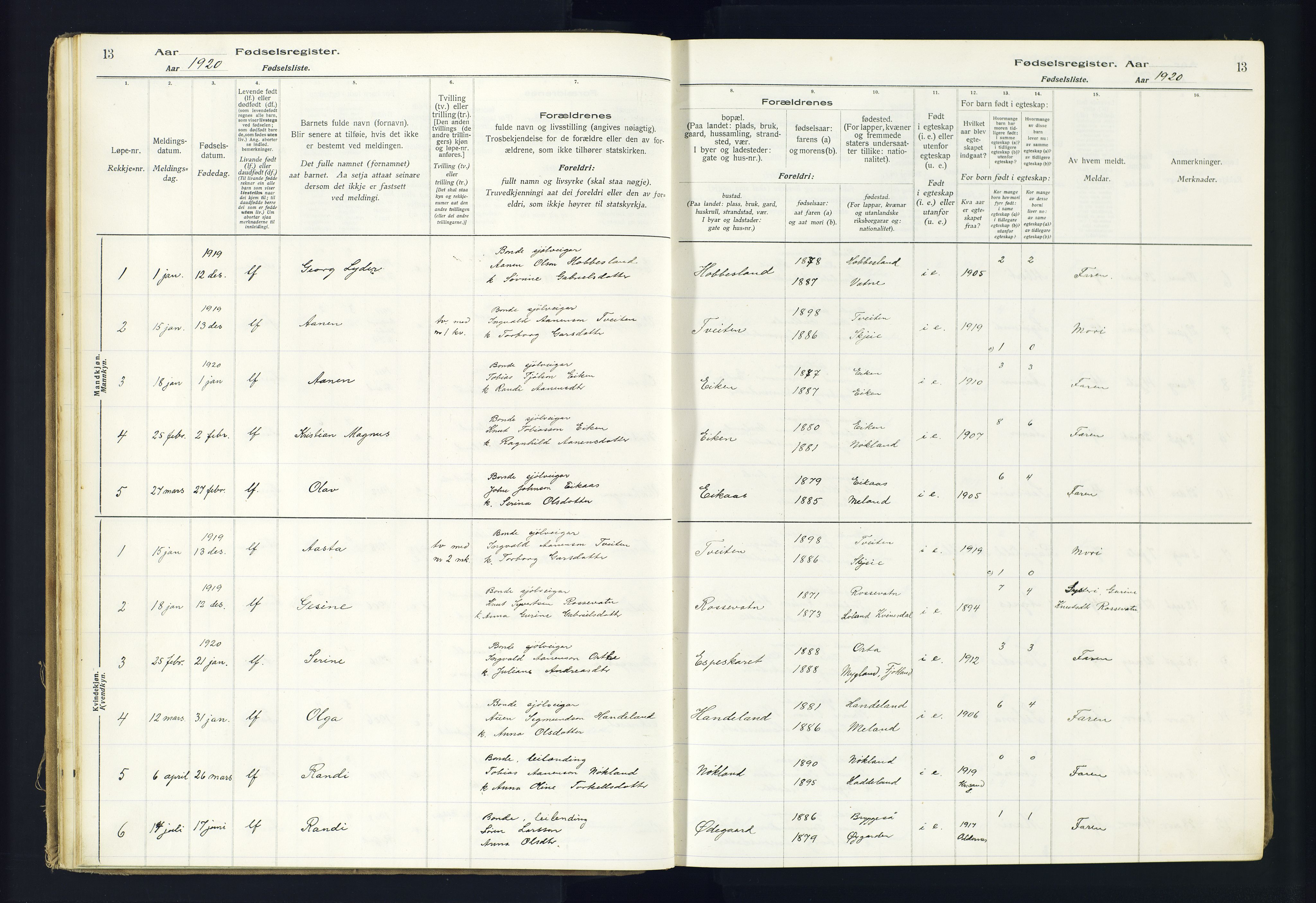 Hægebostad sokneprestkontor, SAK/1111-0024/J/Ja/L0002: Fødselsregister nr. II.6.8, 1916-1982, s. 13