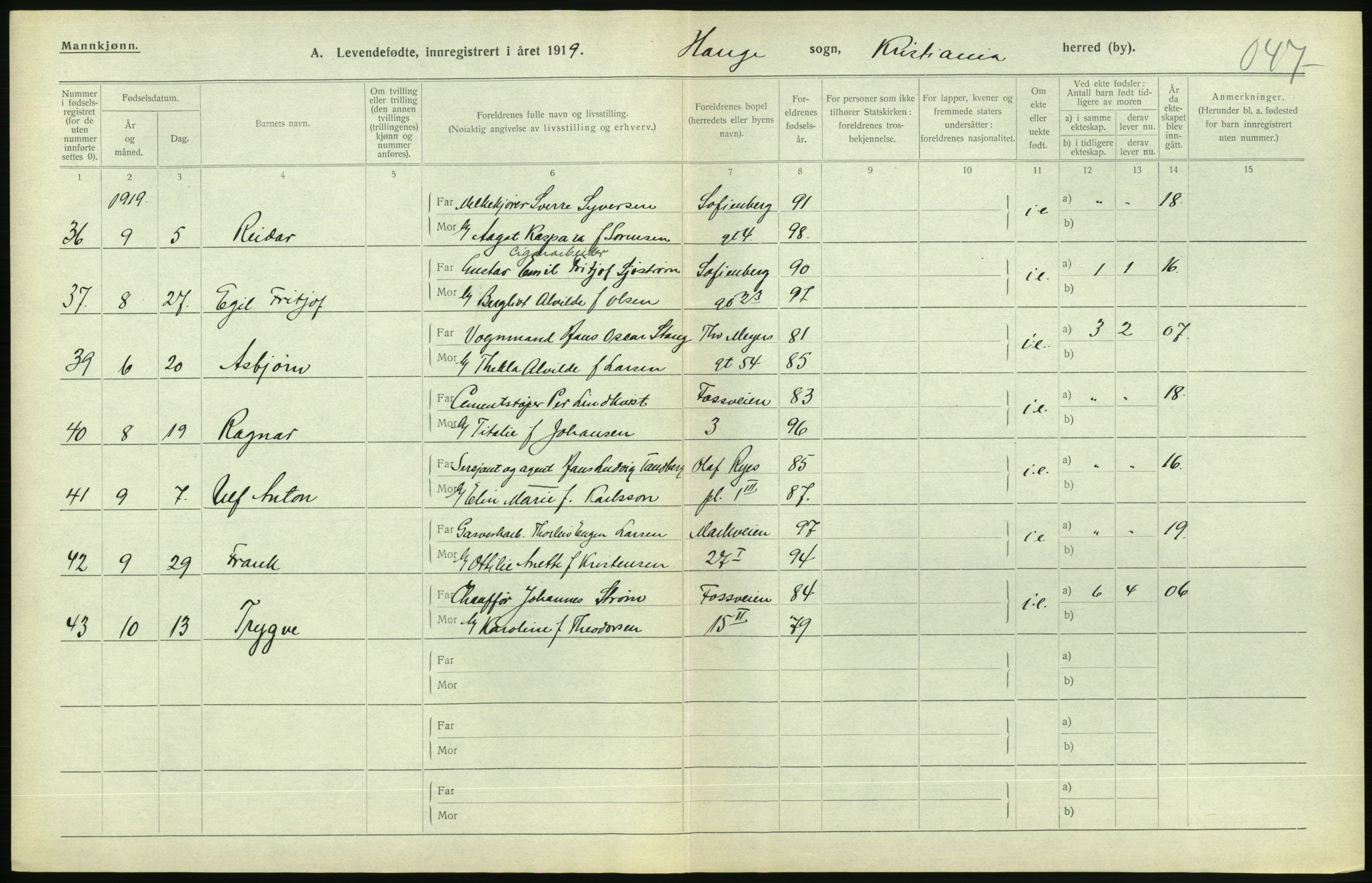 Statistisk sentralbyrå, Sosiodemografiske emner, Befolkning, AV/RA-S-2228/D/Df/Dfb/Dfbi/L0008: Kristiania: Levendefødte menn og kvinner., 1919