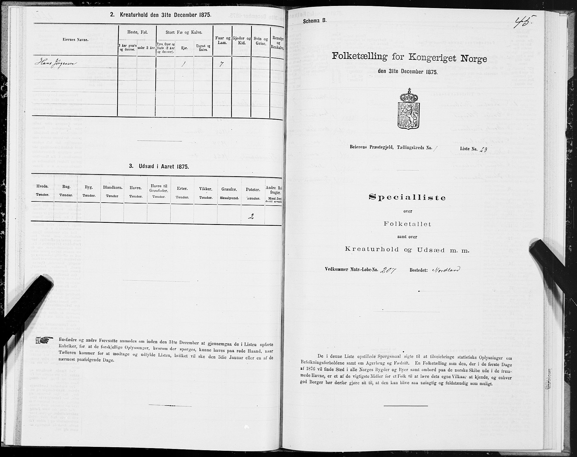 SAT, Folketelling 1875 for 1839P Beiarn prestegjeld, 1875, s. 1045