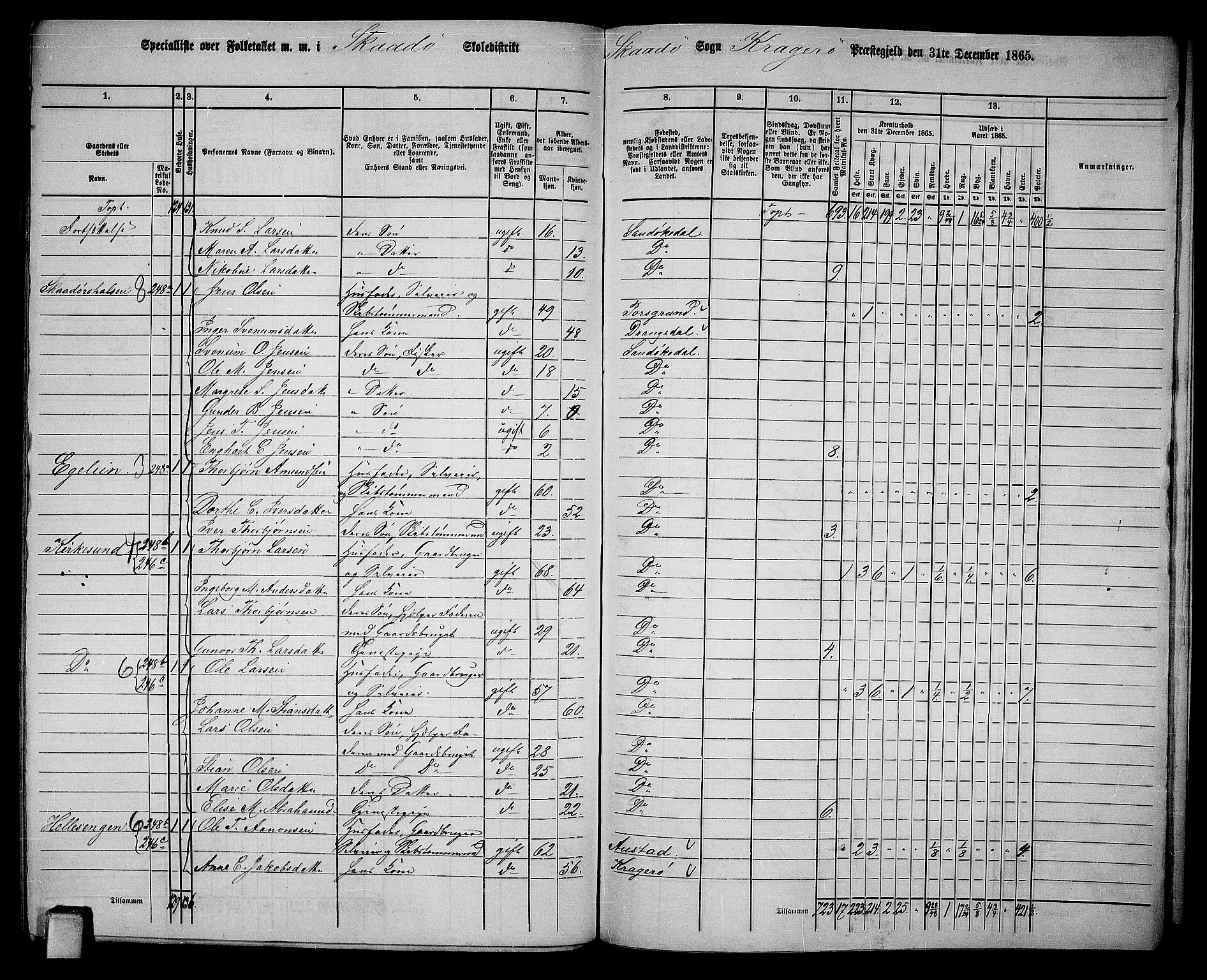 RA, Folketelling 1865 for 0816L Kragerø prestegjeld, Sannidal sokn og Skåtøy sokn, 1865, s. 206