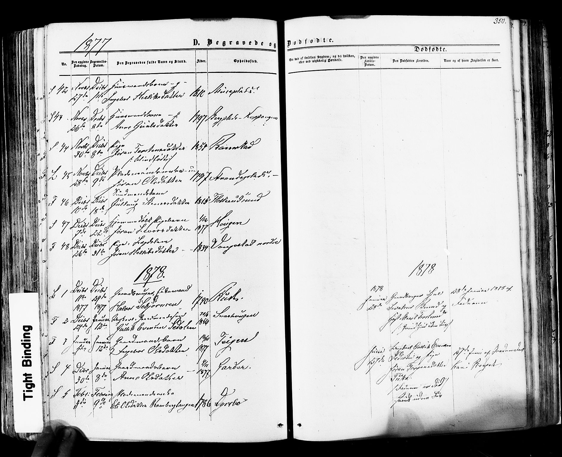 Flesberg kirkebøker, AV/SAKO-A-18/F/Fa/L0007: Ministerialbok nr. I 7, 1861-1878, s. 350