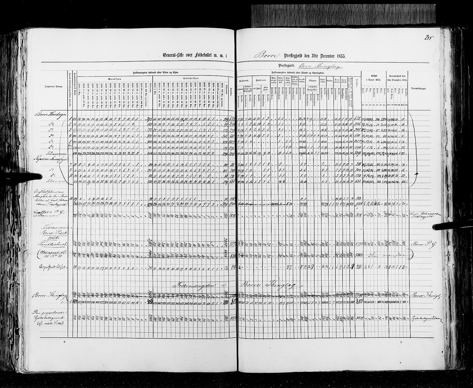 RA, Folketellingen 1855, bind 2: Kristians amt, Buskerud amt og Jarlsberg og Larvik amt, 1855, s. 255