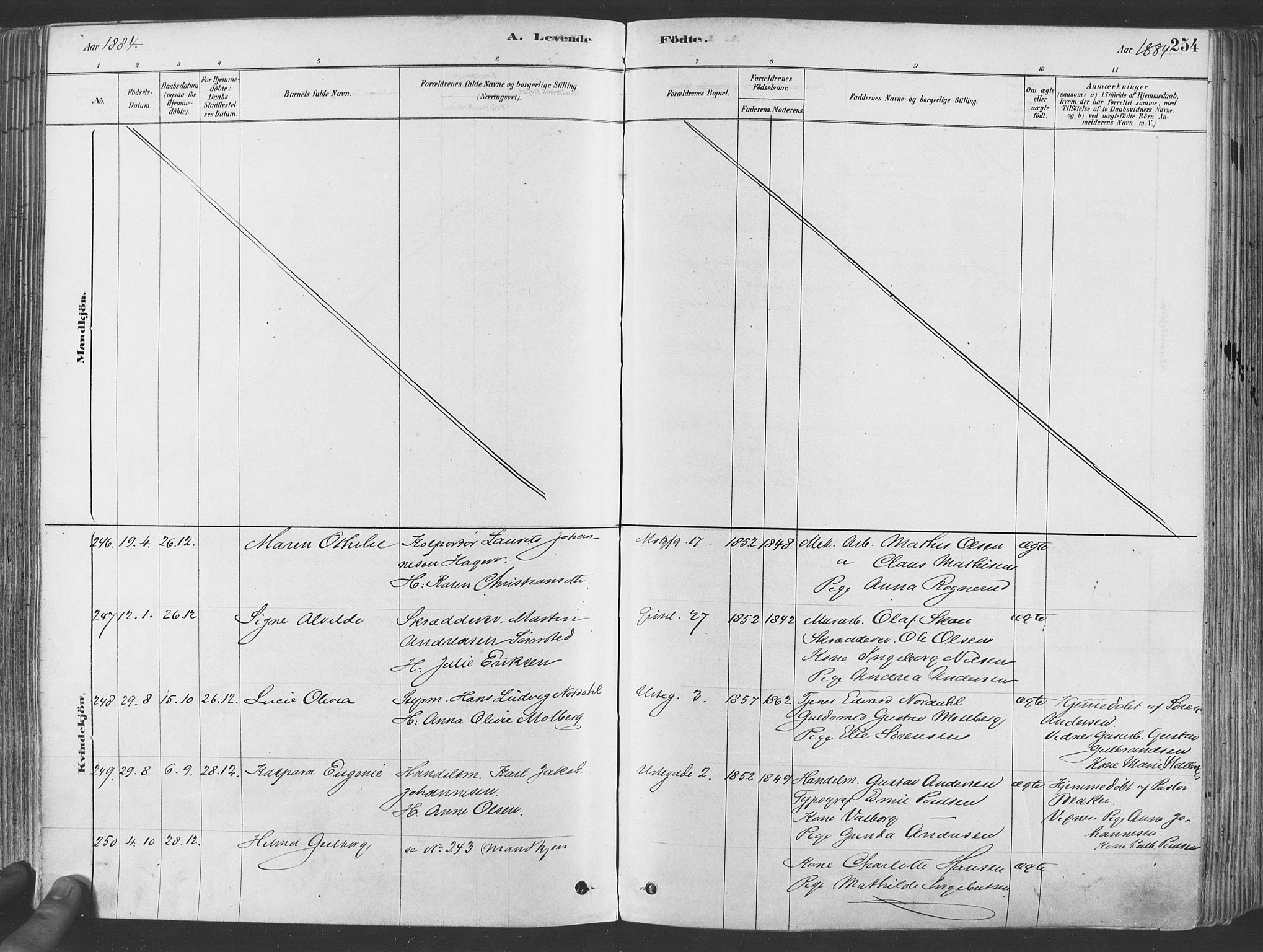 Grønland prestekontor Kirkebøker, AV/SAO-A-10848/F/Fa/L0007: Ministerialbok nr. 7, 1878-1888, s. 254