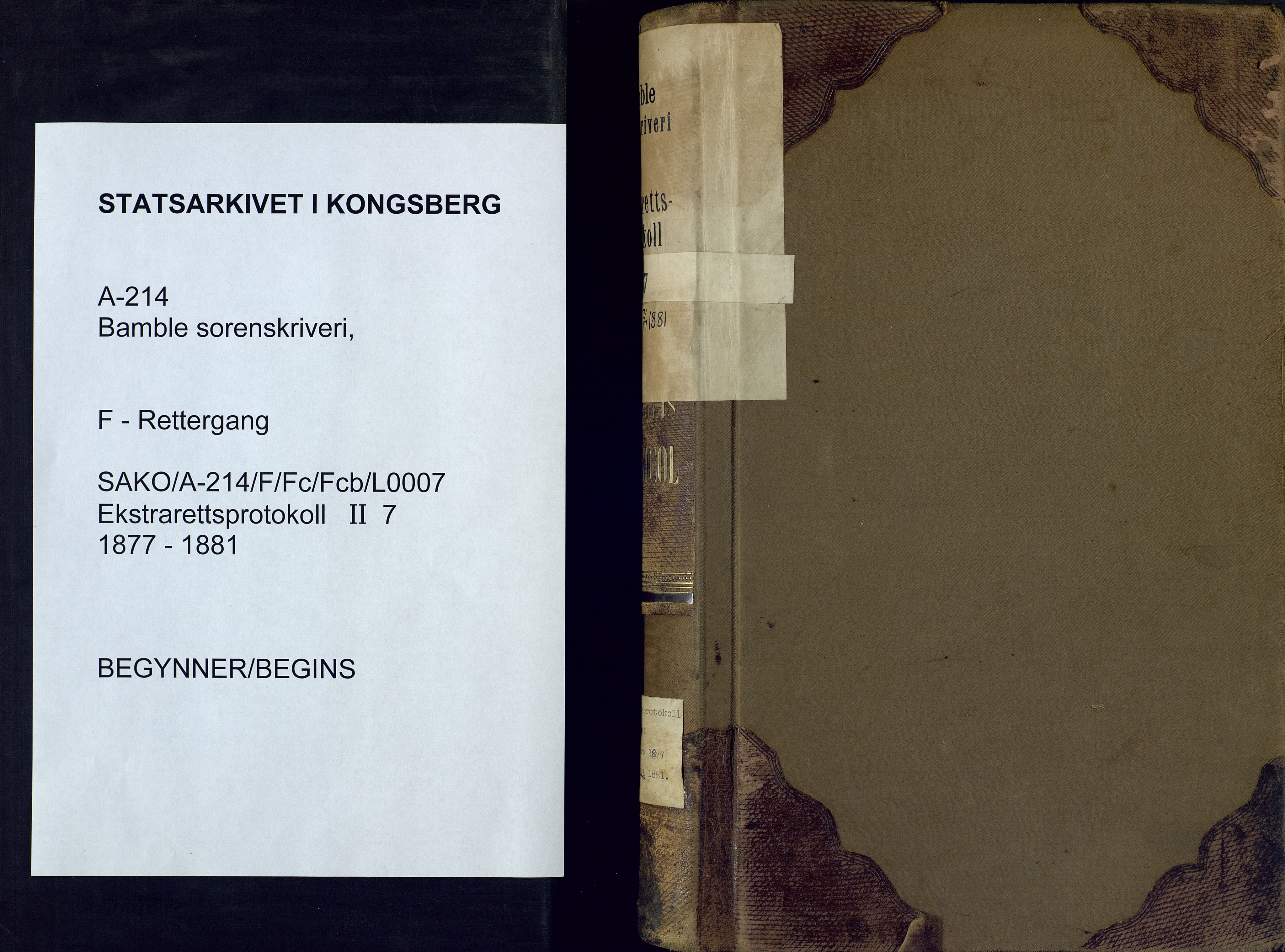 Bamble sorenskriveri, SAKO/A-214/F/Fc/Fcb/L0007: Ekstrarettprotokoll, 1877-1881