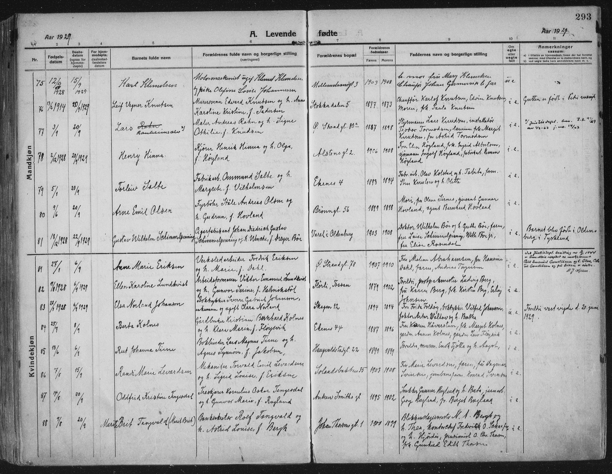 Domkirken sokneprestkontor, AV/SAST-A-101812/002/A/L0018: Ministerialbok nr. A 34, 1915-1929, s. 293