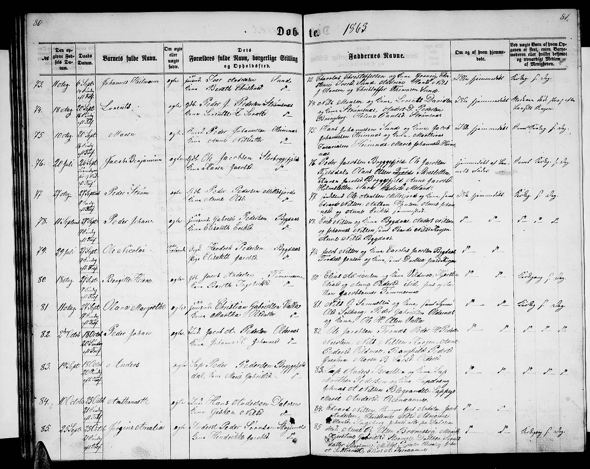 Ministerialprotokoller, klokkerbøker og fødselsregistre - Nordland, AV/SAT-A-1459/825/L0365: Klokkerbok nr. 825C02, 1858-1873, s. 80-81