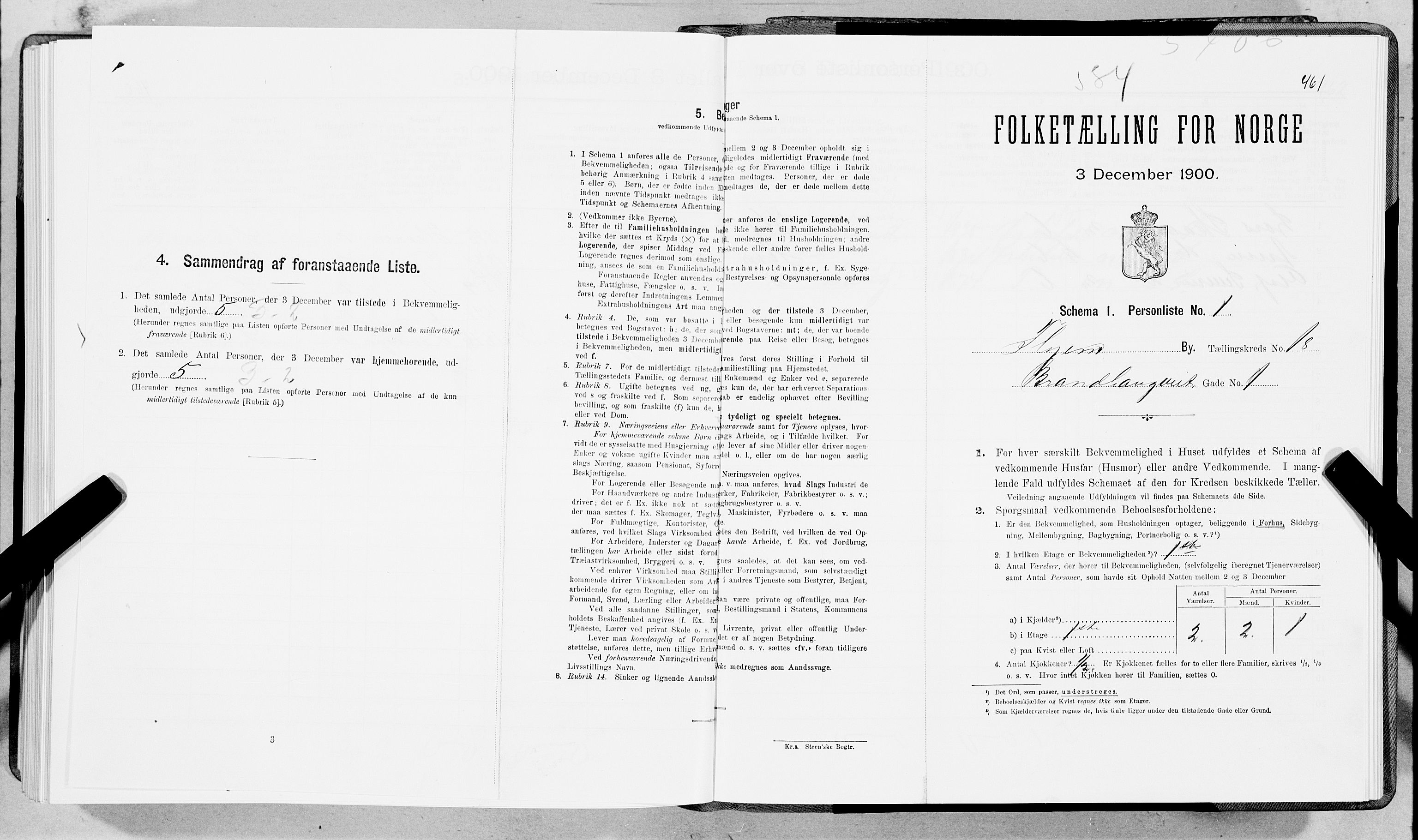 SAT, Folketelling 1900 for 1601 Trondheim kjøpstad, 1900, s. 2999