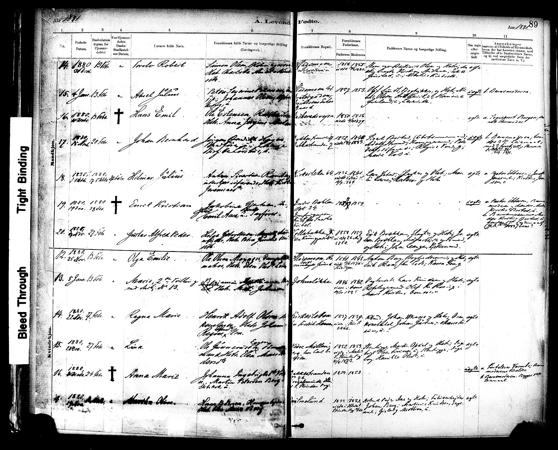 Ministerialprotokoller, klokkerbøker og fødselsregistre - Sør-Trøndelag, SAT/A-1456/604/L0188: Ministerialbok nr. 604A09, 1878-1892, s. 89