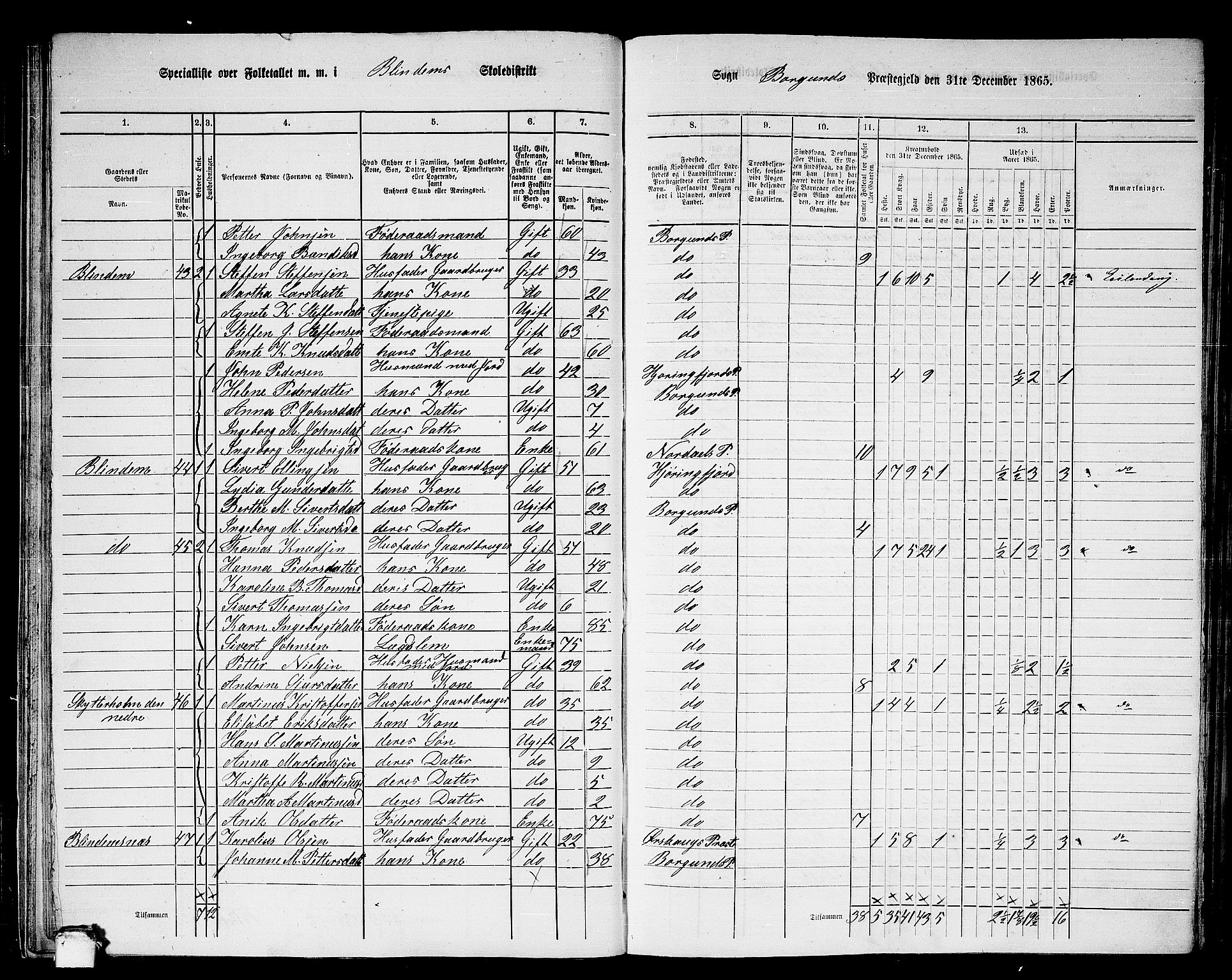 RA, Folketelling 1865 for 1531P Borgund prestegjeld, 1865, s. 30