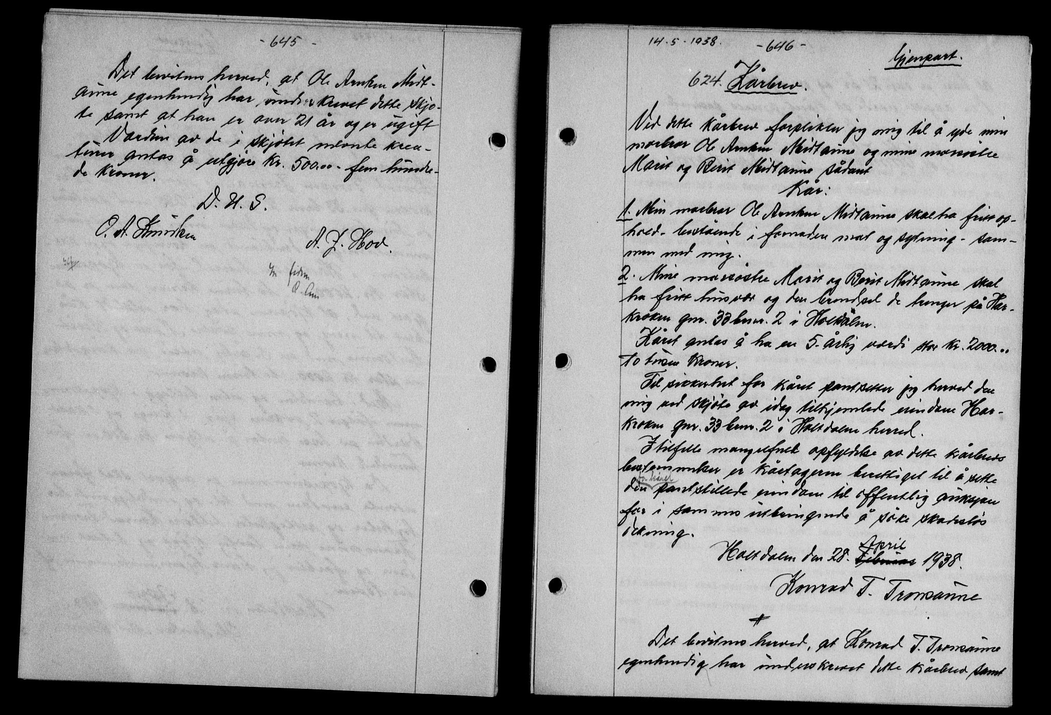 Gauldal sorenskriveri, SAT/A-0014/1/2/2C/L0048: Pantebok nr. 51-52, 1937-1938, s. 645-646, Dagboknr: 624/1938