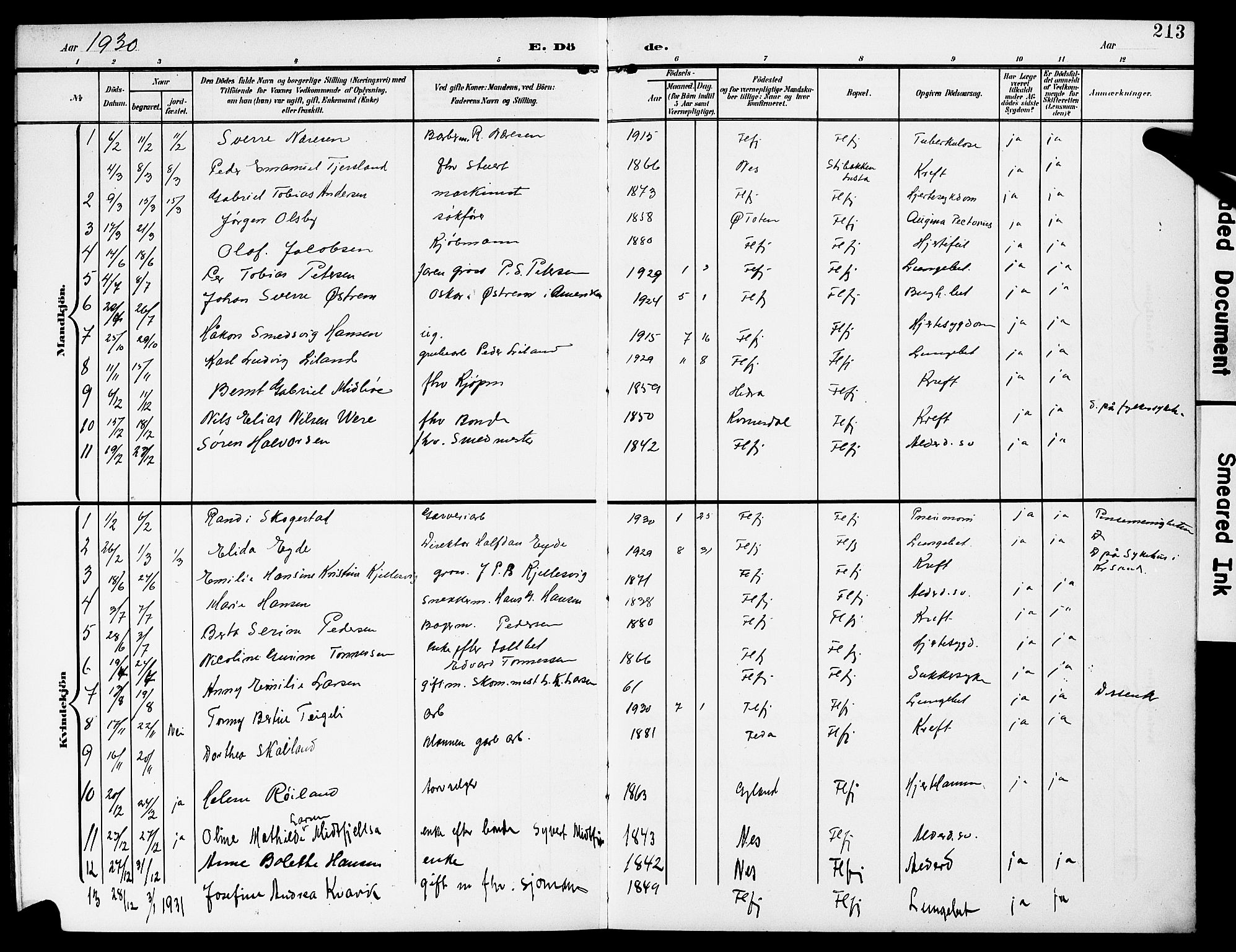 Flekkefjord sokneprestkontor, SAK/1111-0012/F/Fb/Fba/L0001: Klokkerbok nr. B 1, 1903-1931, s. 213