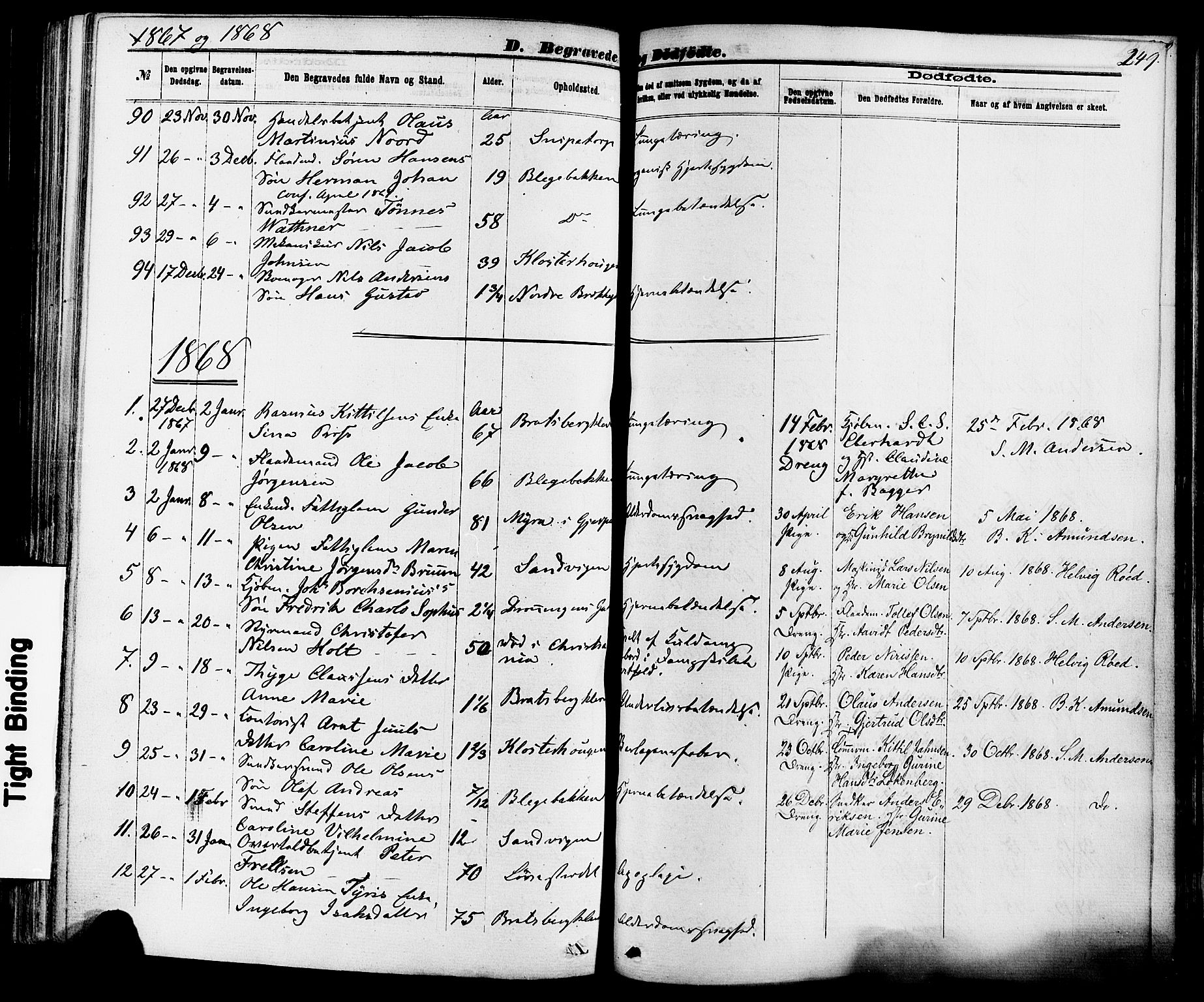 Skien kirkebøker, AV/SAKO-A-302/F/Fa/L0008: Ministerialbok nr. 8, 1866-1877, s. 249
