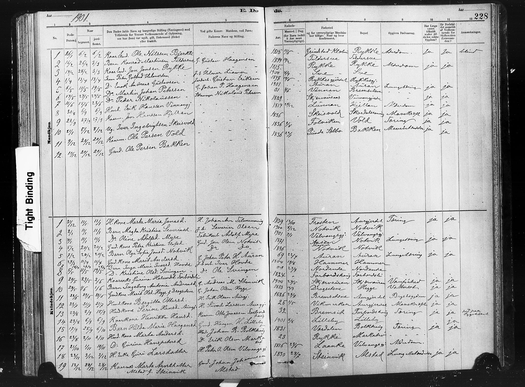 Ministerialprotokoller, klokkerbøker og fødselsregistre - Nord-Trøndelag, SAT/A-1458/712/L0103: Klokkerbok nr. 712C01, 1878-1917, s. 228