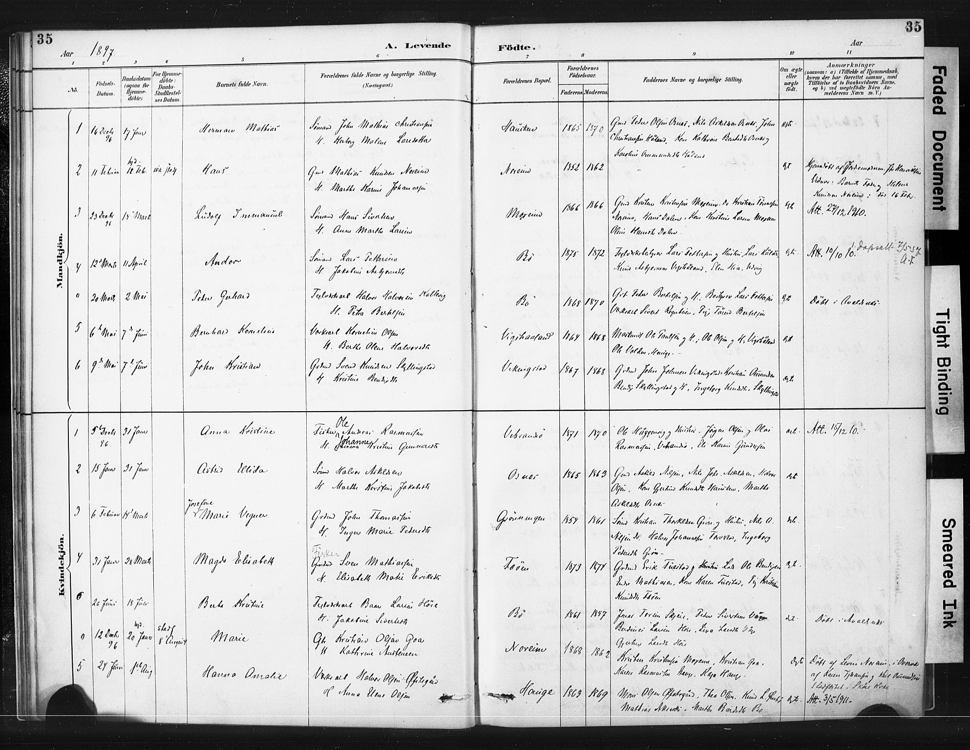 Torvastad sokneprestkontor, AV/SAST-A -101857/H/Ha/Haa/L0015: Ministerialbok nr. A 14, 1888-1899, s. 35