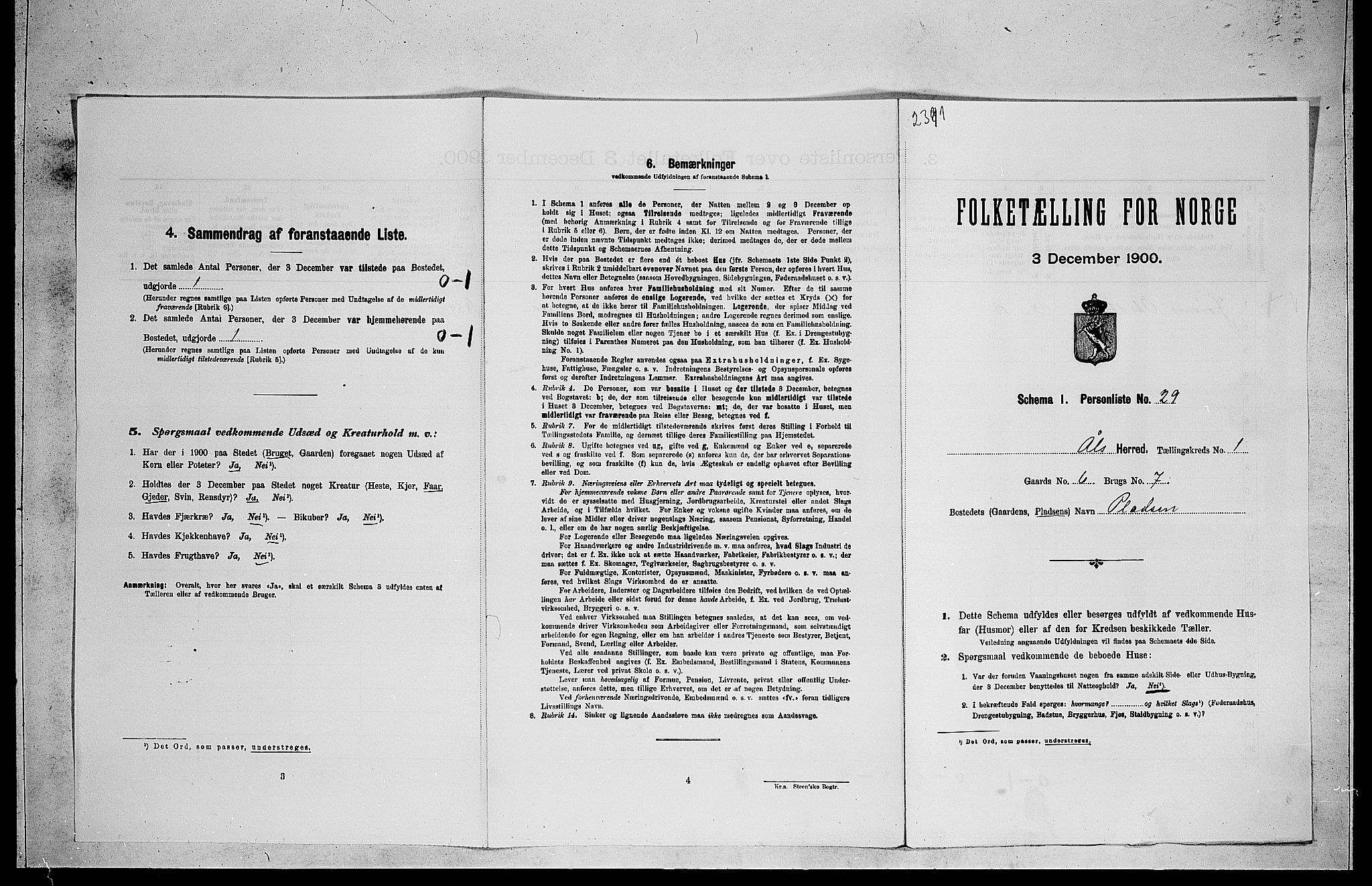 RA, Folketelling 1900 for 0619 Ål herred, 1900, s. 163