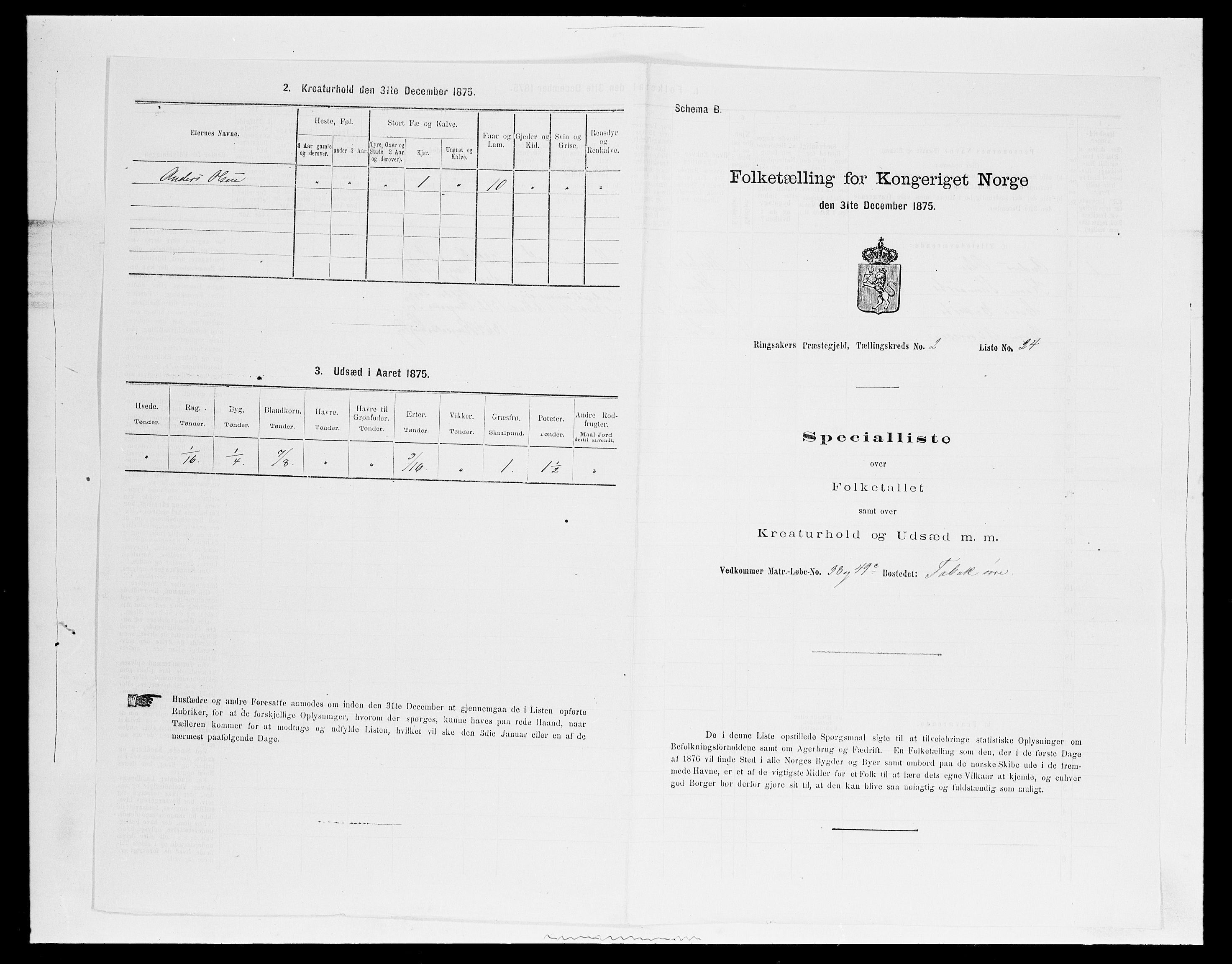 SAH, Folketelling 1875 for 0412P Ringsaker prestegjeld, 1875, s. 483