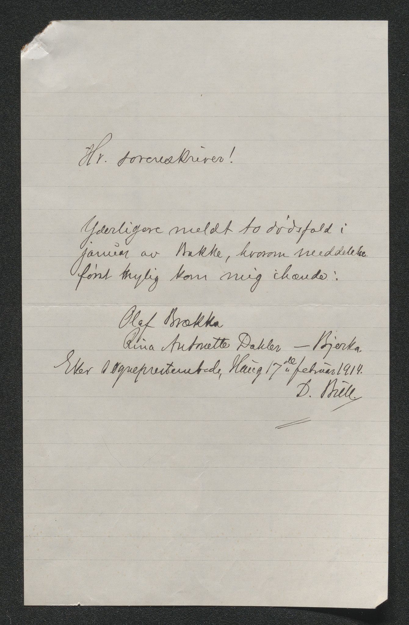 Eiker, Modum og Sigdal sorenskriveri, SAKO/A-123/H/Ha/Hab/L0037: Dødsfallsmeldinger, 1914-1915, s. 326