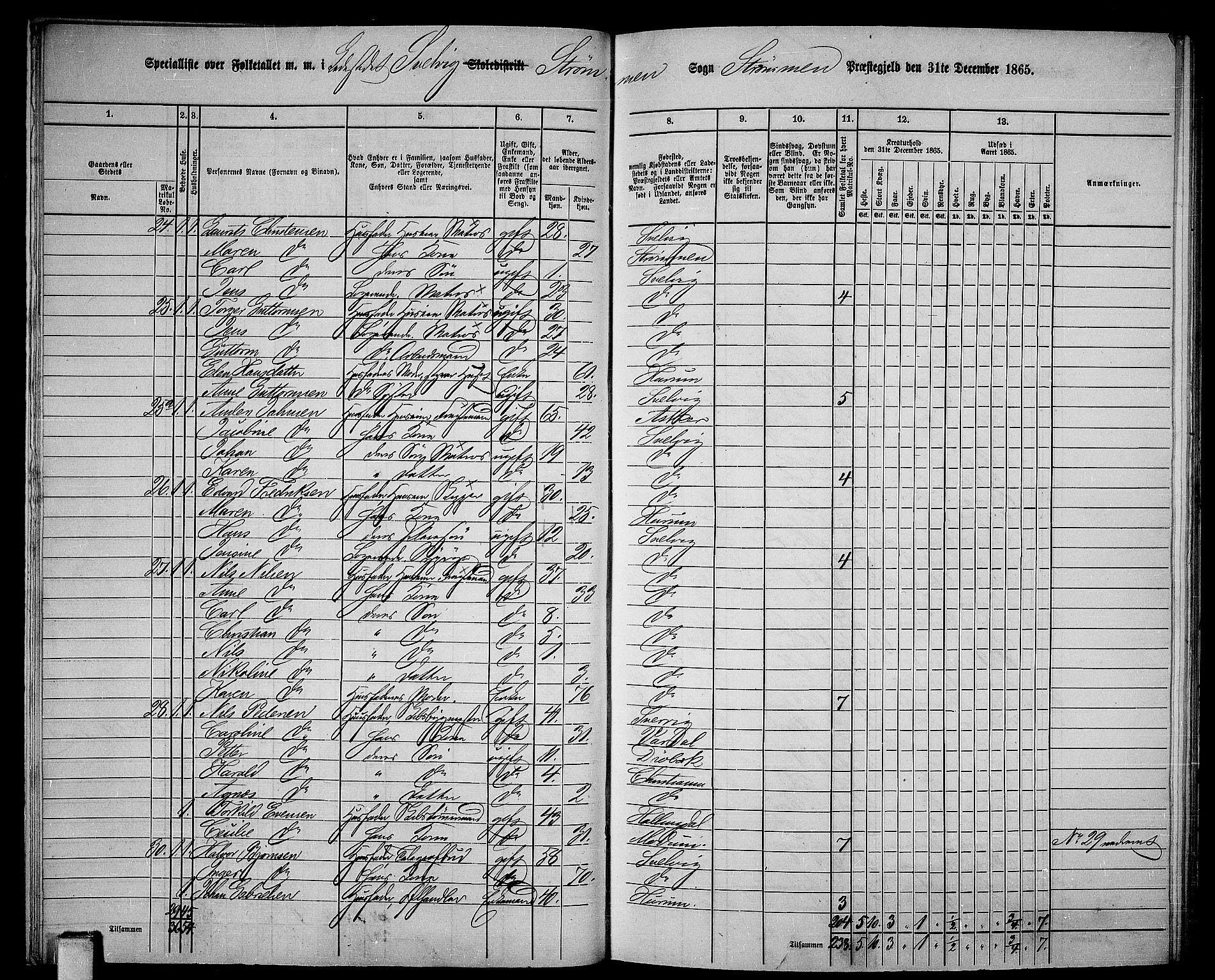 RA, Folketelling 1865 for 0711P Strømm prestegjeld, 1865, s. 68