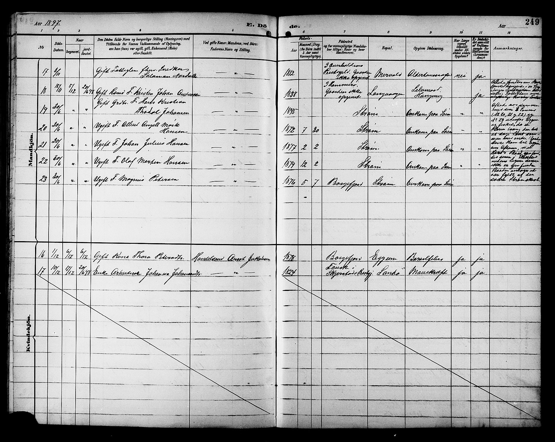 Ministerialprotokoller, klokkerbøker og fødselsregistre - Nordland, AV/SAT-A-1459/880/L1141: Klokkerbok nr. 880C03, 1893-1928, s. 249