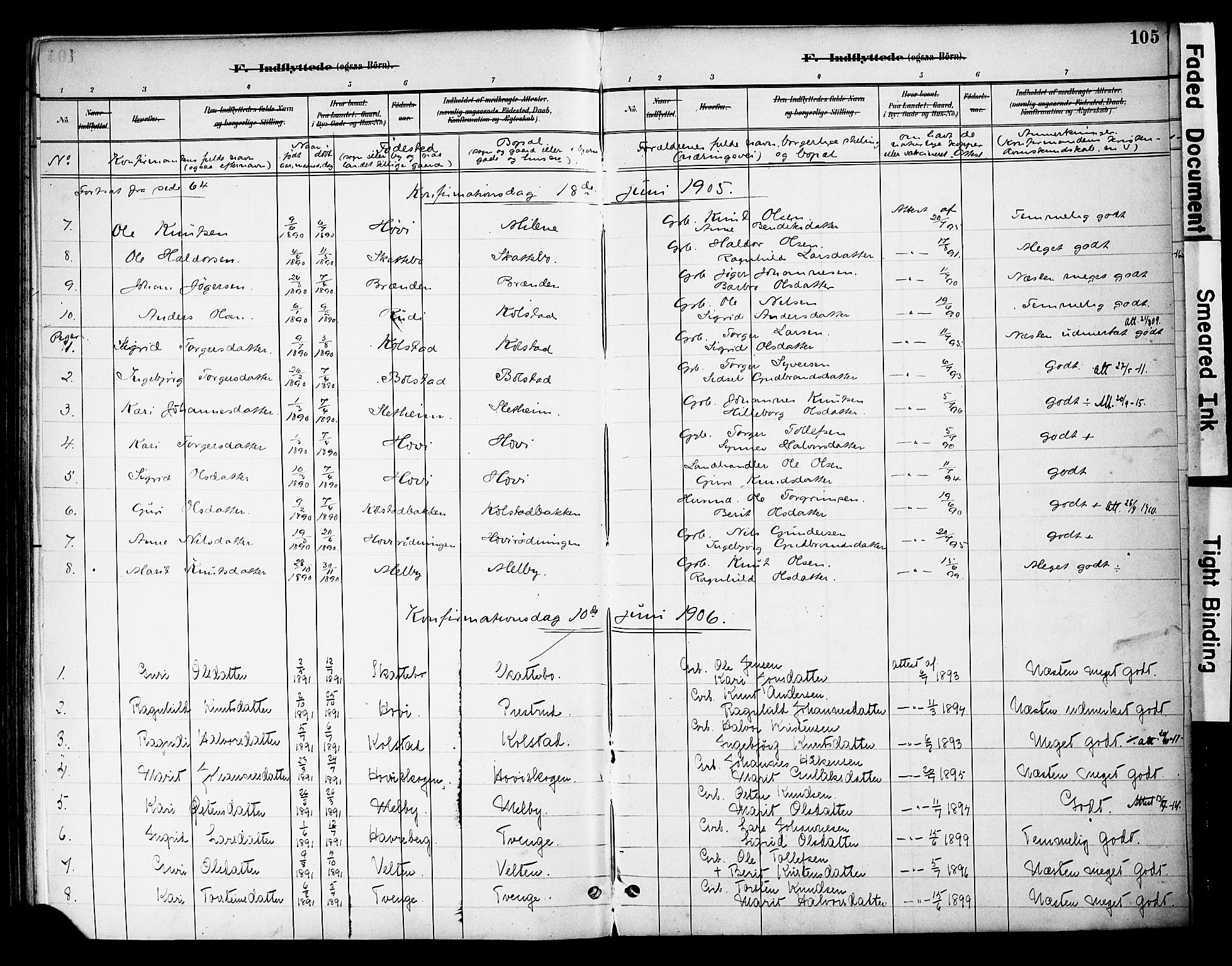 Øystre Slidre prestekontor, SAH/PREST-138/H/Ha/Haa/L0003: Ministerialbok nr. 3, 1887-1910, s. 105