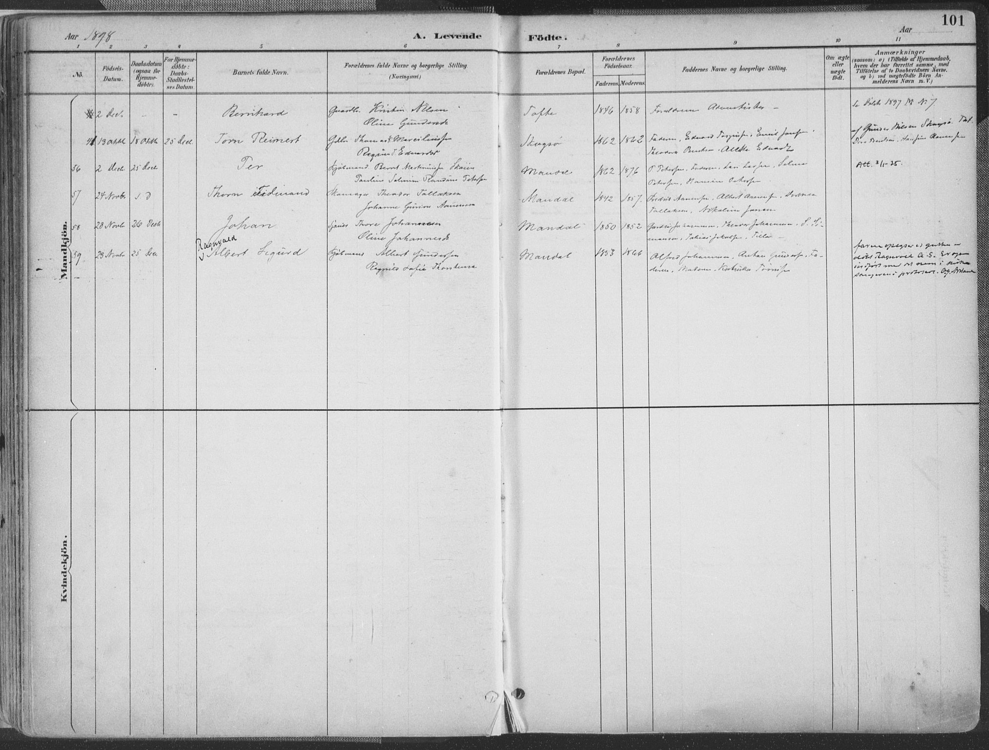 Mandal sokneprestkontor, SAK/1111-0030/F/Fa/Faa/L0018: Ministerialbok nr. A 18, 1890-1905, s. 101