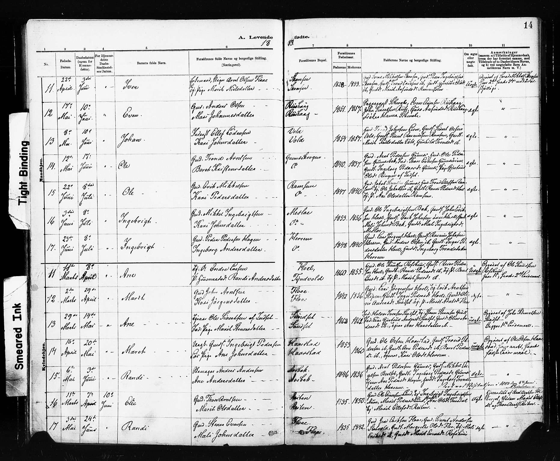 Ministerialprotokoller, klokkerbøker og fødselsregistre - Sør-Trøndelag, SAT/A-1456/674/L0871: Ministerialbok nr. 674A03, 1880-1896, s. 14