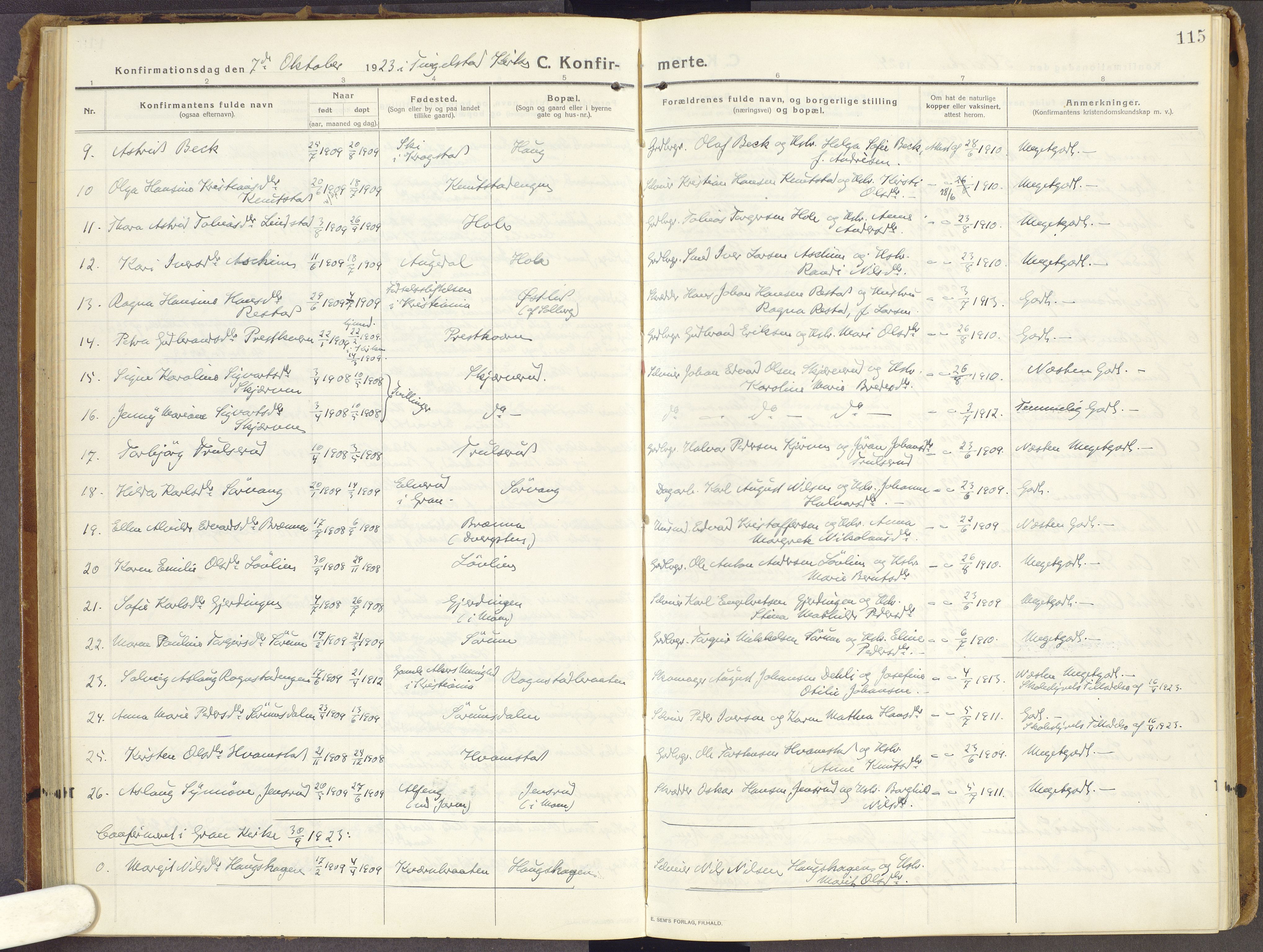 Brandbu prestekontor, AV/SAH-PREST-114/H/Ha/Haa/L0003: Ministerialbok nr. 3, 1914-1928, s. 115