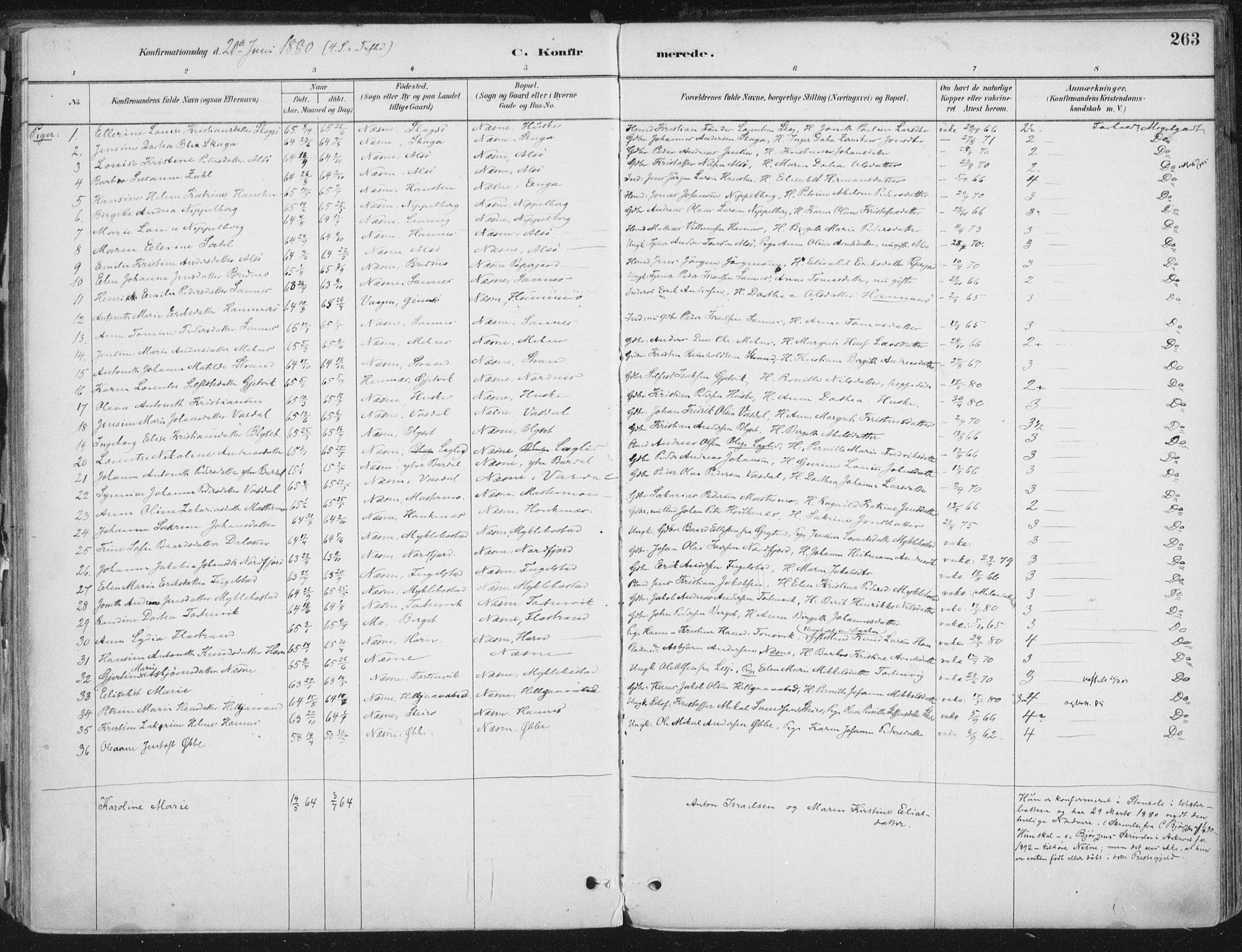Ministerialprotokoller, klokkerbøker og fødselsregistre - Nordland, SAT/A-1459/838/L0552: Ministerialbok nr. 838A10, 1880-1910, s. 263