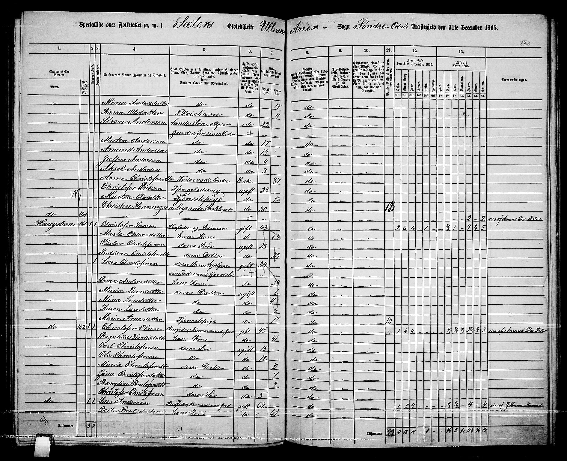 RA, Folketelling 1865 for 0419P Sør-Odal prestegjeld, 1865, s. 240