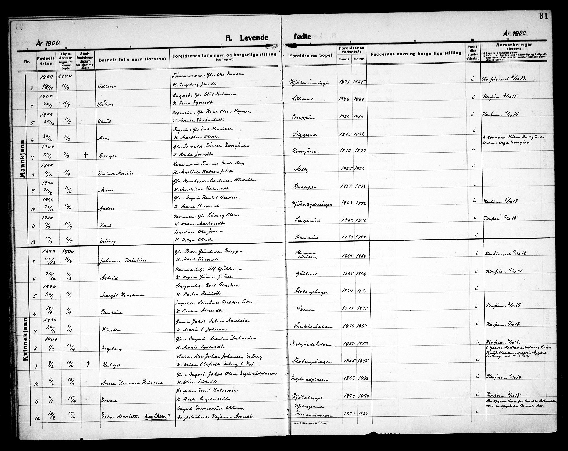 Åsnes prestekontor, SAH/PREST-042/H/Ha/Haa/L0000C: Ministerialbok nr. 0A, 1890-1929, s. 31