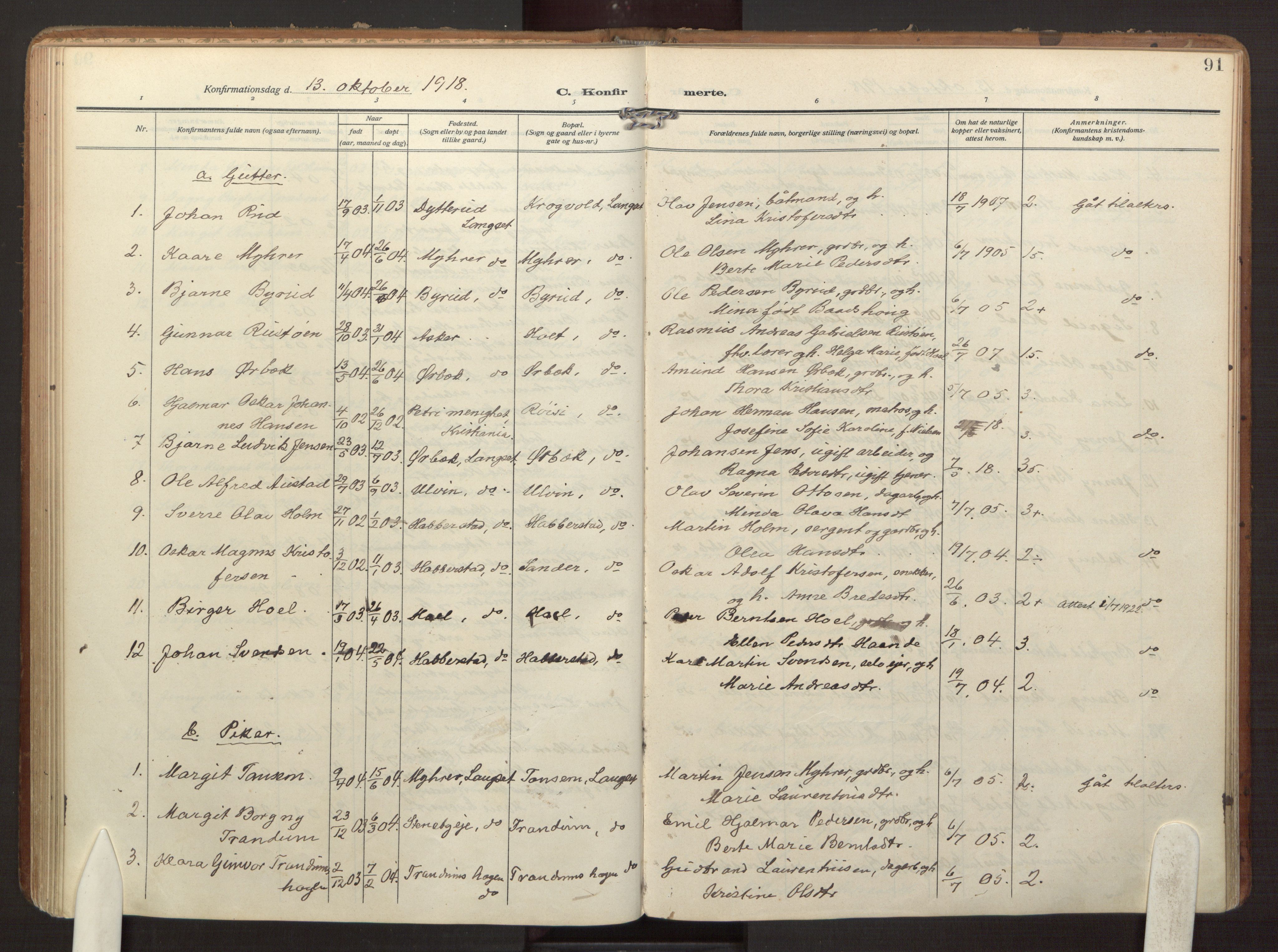 Eidsvoll prestekontor Kirkebøker, AV/SAO-A-10888/F/Fb/L0004: Ministerialbok nr. II 4, 1909-1919, s. 91
