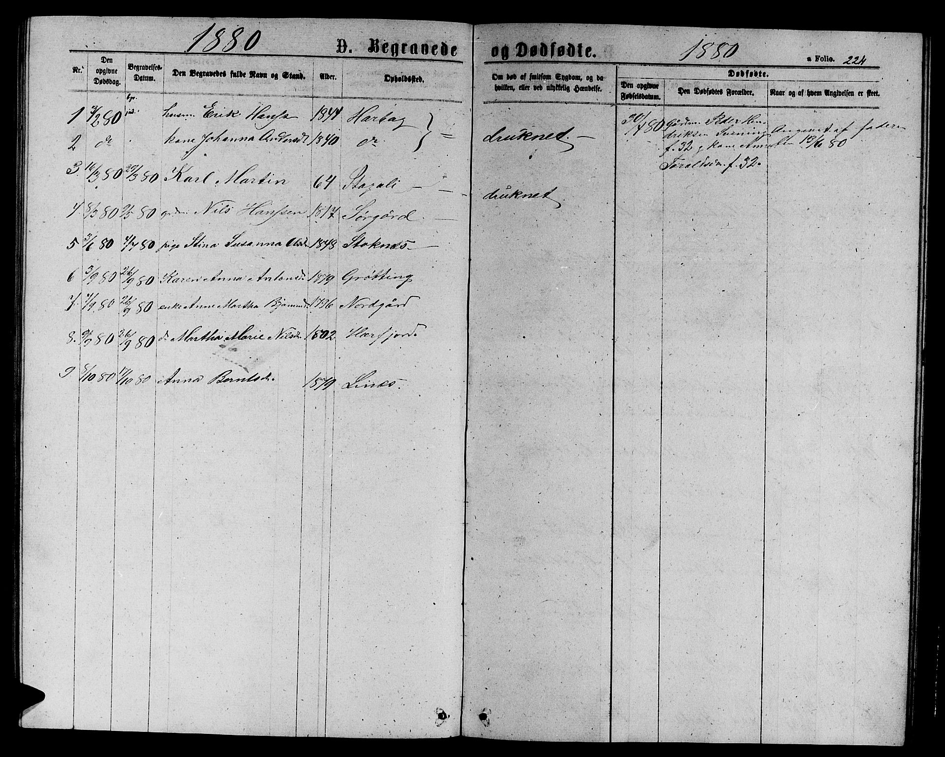 Ministerialprotokoller, klokkerbøker og fødselsregistre - Sør-Trøndelag, AV/SAT-A-1456/656/L0695: Klokkerbok nr. 656C01, 1867-1889, s. 224