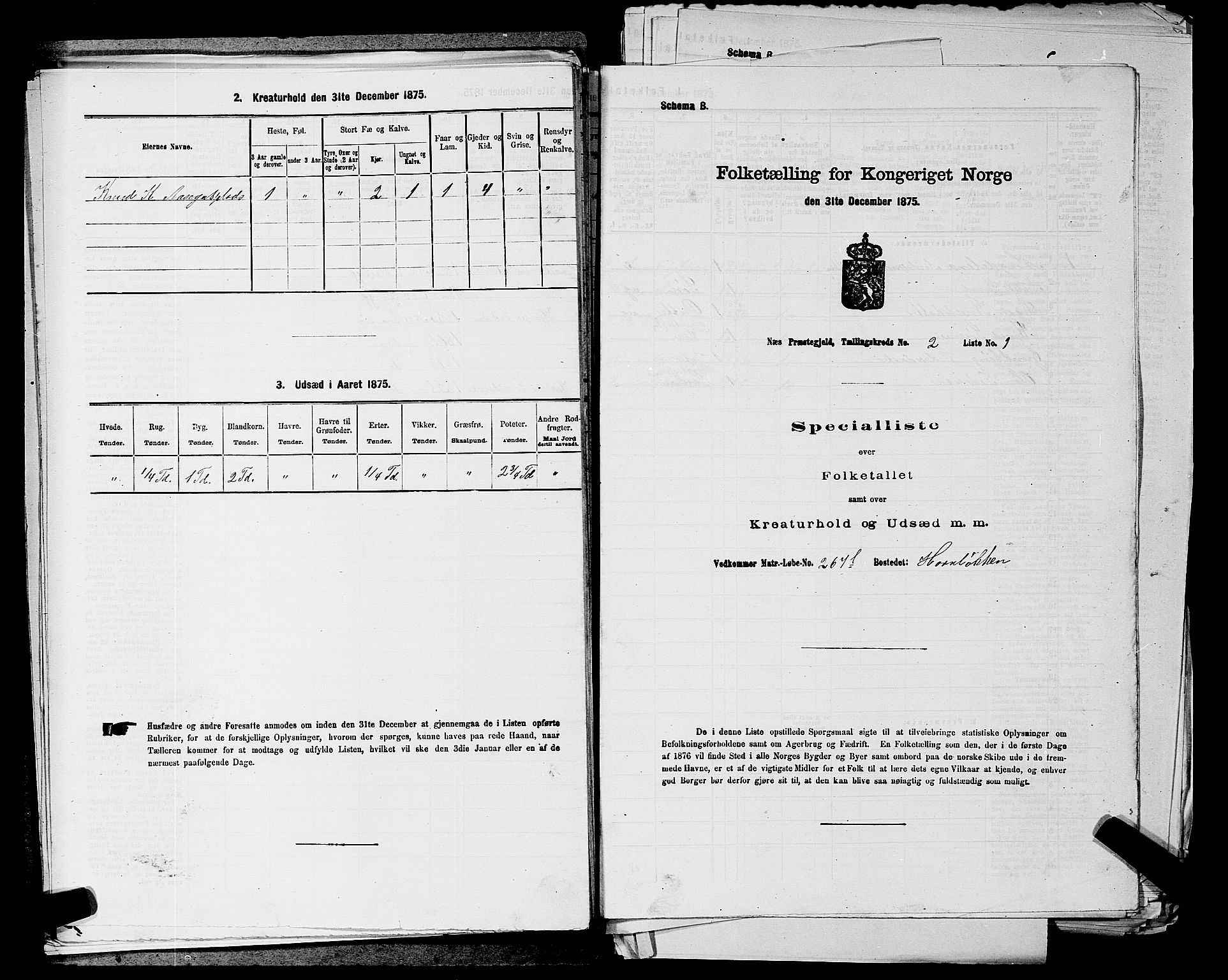 SAKO, Folketelling 1875 for 0616P Nes prestegjeld, 1875, s. 461