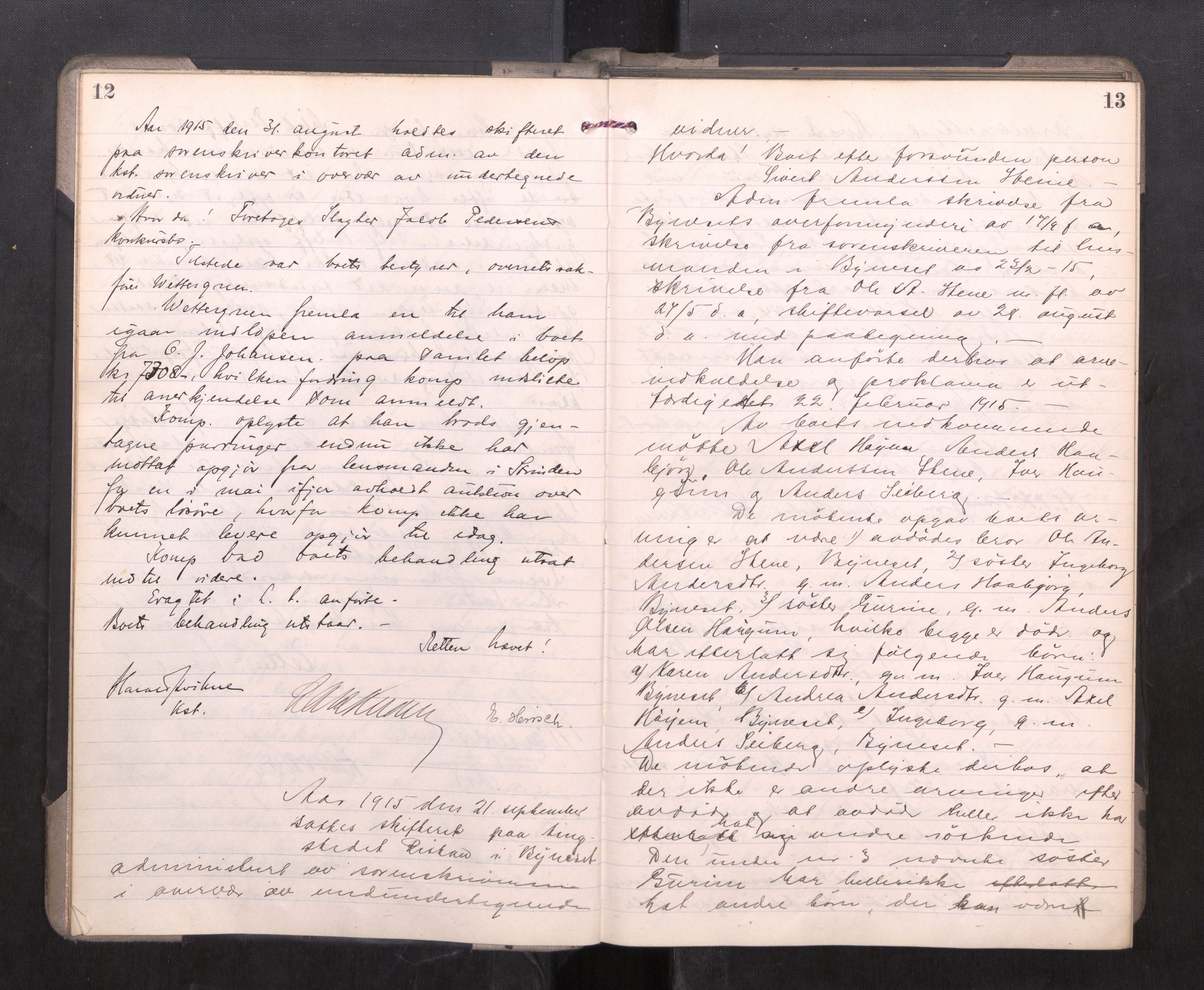 Strinda og Selbu sorenskriveri, AV/SAT-A-0015/3/3B/L0012: Skifteforhandlingsprot. 12, 1915-1919, s. 12-13