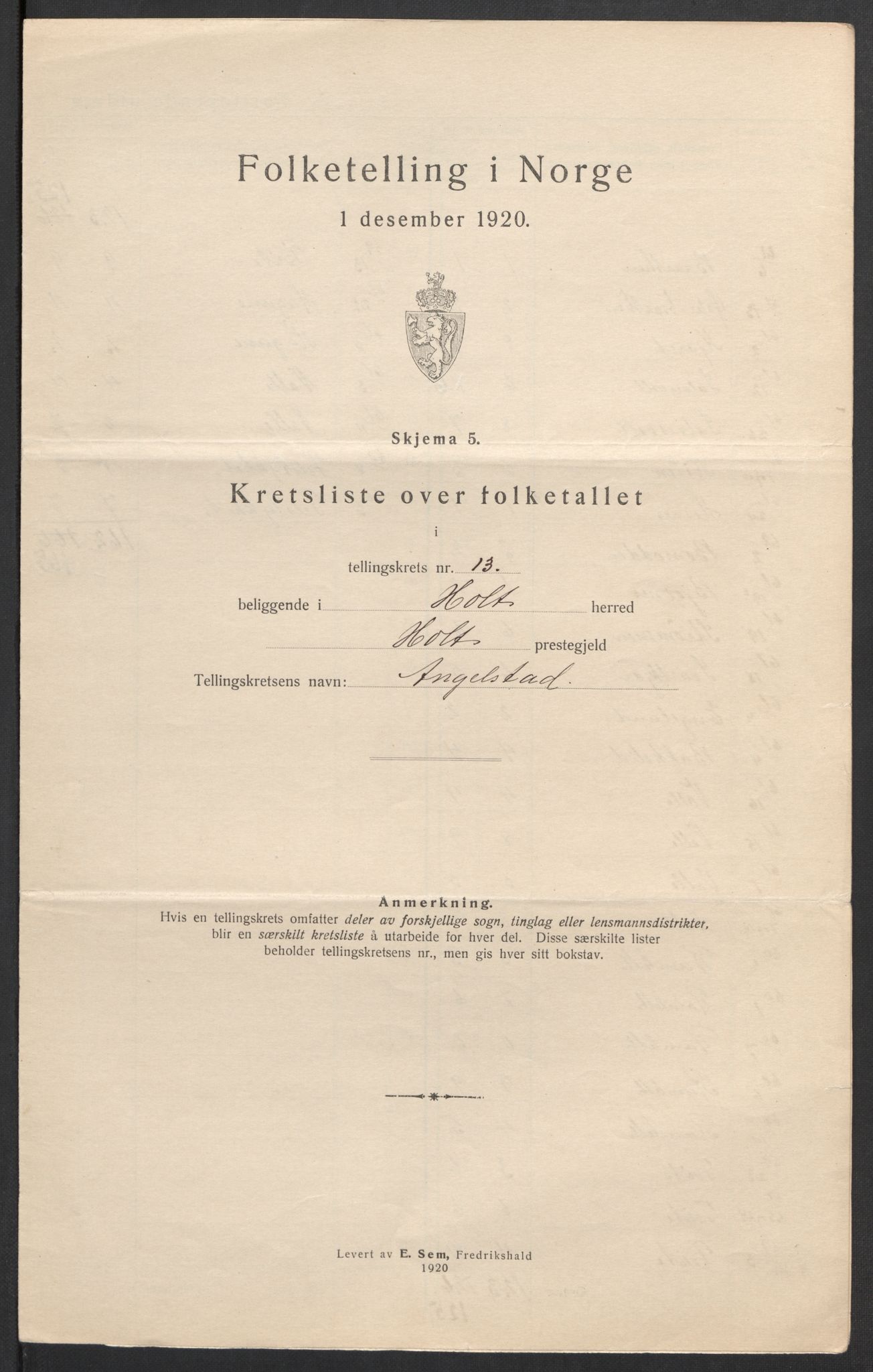 SAK, Folketelling 1920 for 0914 Holt herred, 1920, s. 45