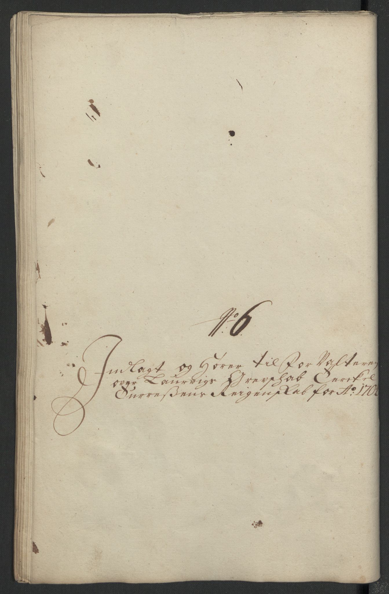 Rentekammeret inntil 1814, Reviderte regnskaper, Fogderegnskap, RA/EA-4092/R33/L1978: Fogderegnskap Larvik grevskap, 1704-1705, s. 200