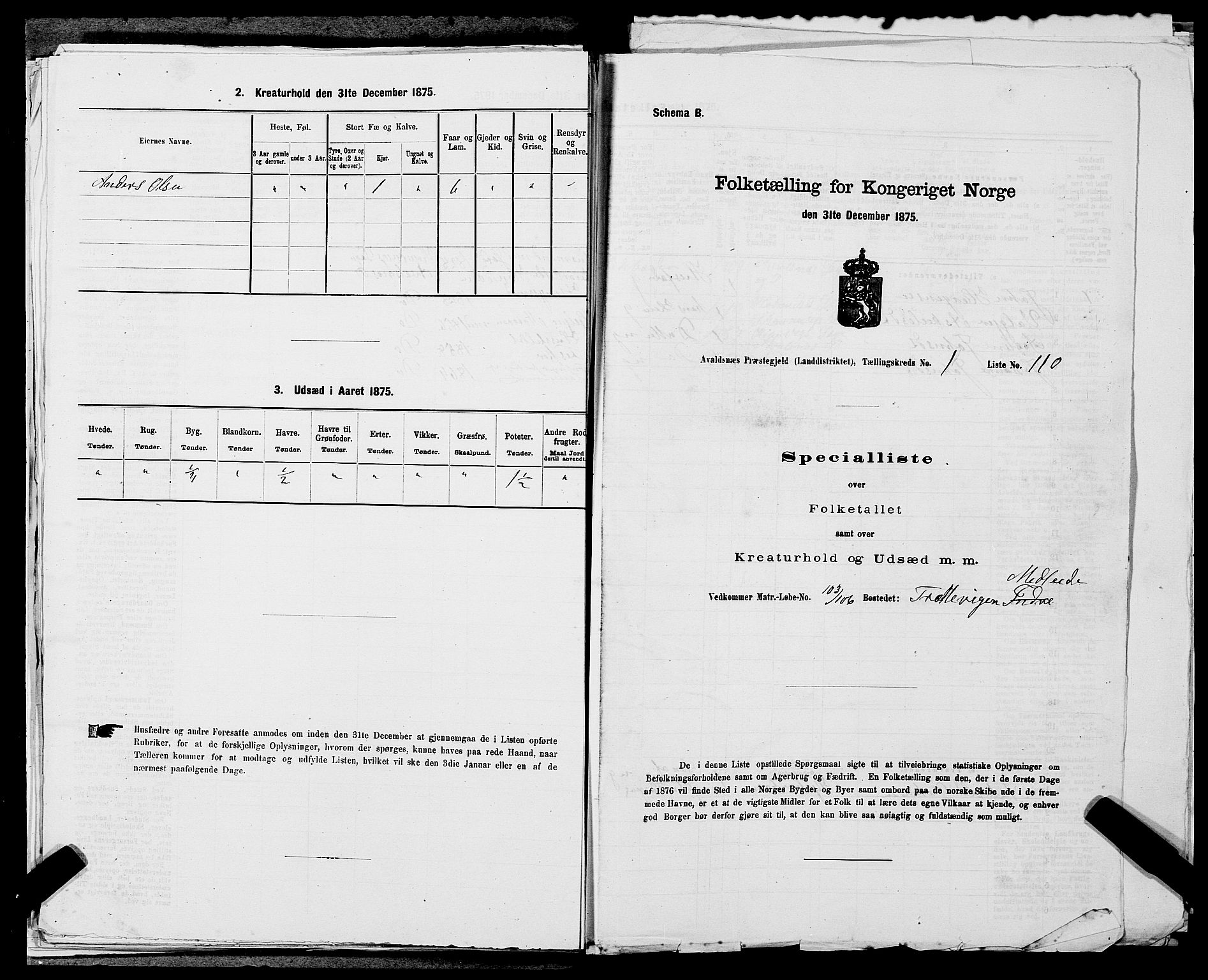 SAST, Folketelling 1875 for 1147L Avaldsnes prestegjeld, Avaldsnes sokn og Kopervik landsokn, 1875, s. 294