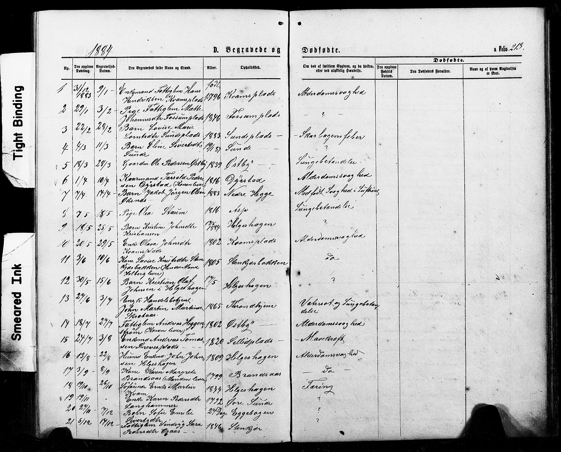 Ministerialprotokoller, klokkerbøker og fødselsregistre - Nord-Trøndelag, SAT/A-1458/740/L0380: Klokkerbok nr. 740C01, 1868-1902, s. 213