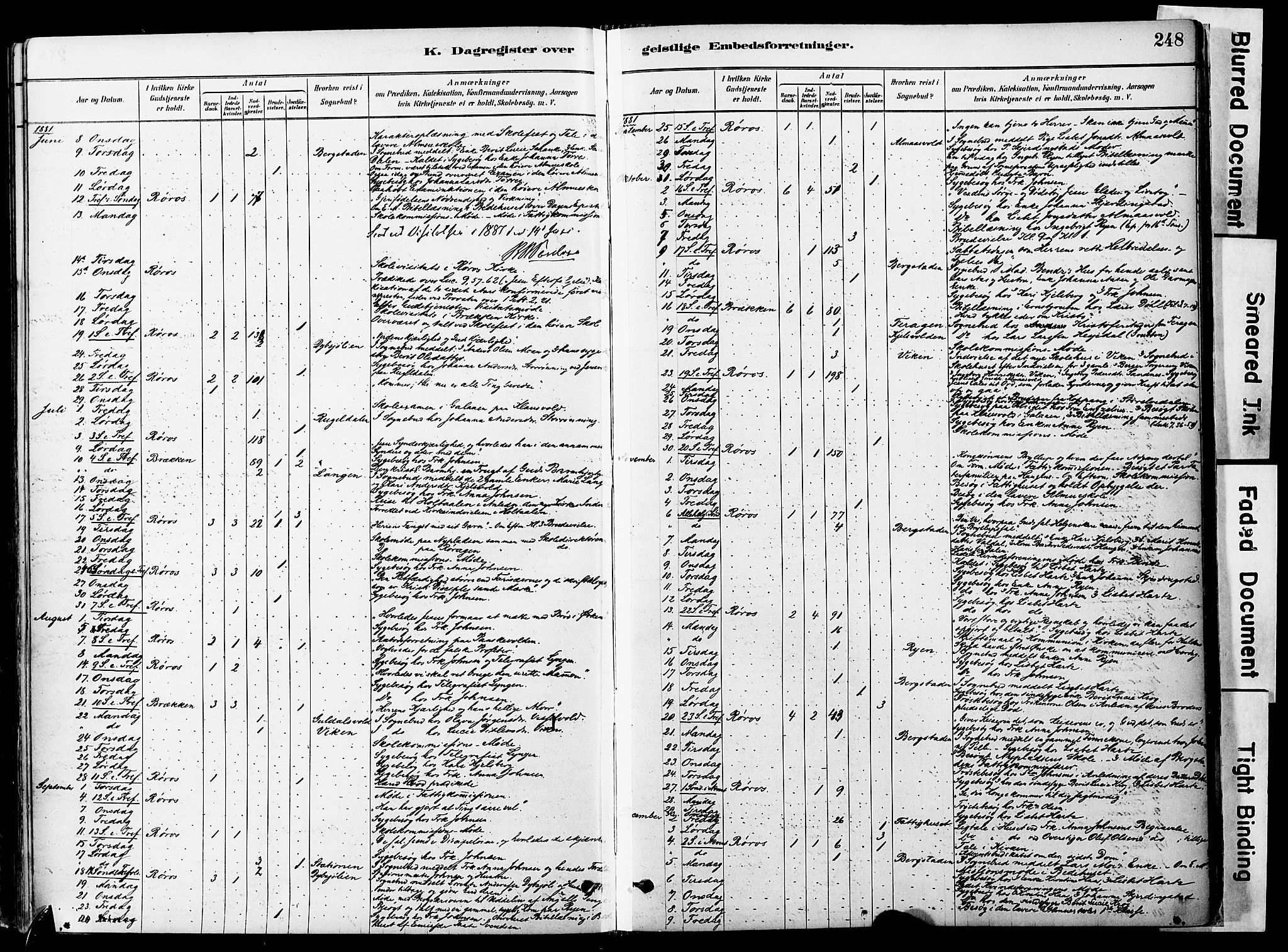 Ministerialprotokoller, klokkerbøker og fødselsregistre - Sør-Trøndelag, AV/SAT-A-1456/681/L0933: Ministerialbok nr. 681A11, 1879-1890, s. 248