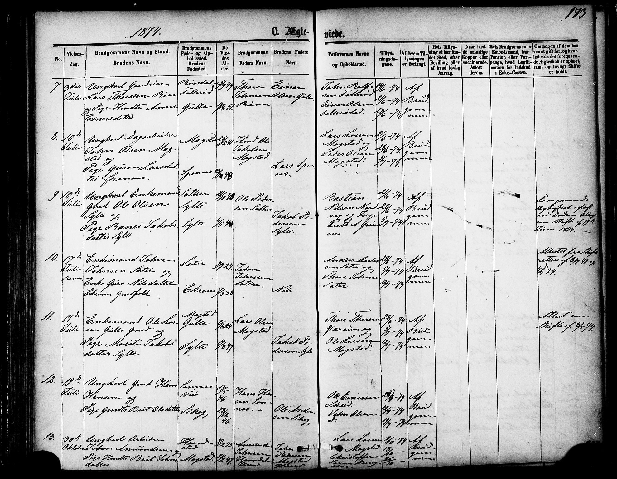 Ministerialprotokoller, klokkerbøker og fødselsregistre - Møre og Romsdal, SAT/A-1454/595/L1046: Ministerialbok nr. 595A08, 1874-1884, s. 173