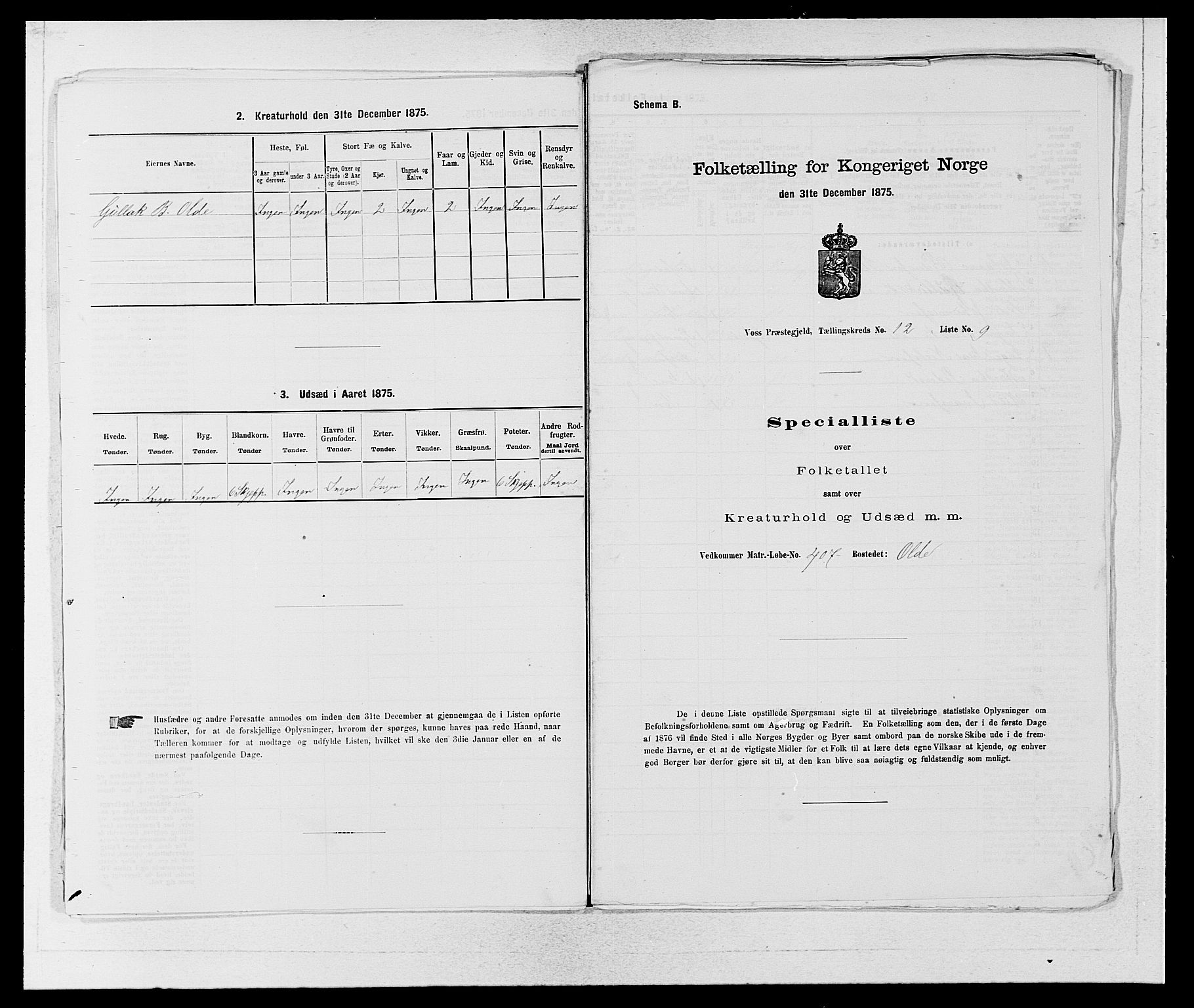 SAB, Folketelling 1875 for 1235P Voss prestegjeld, 1875, s. 1415