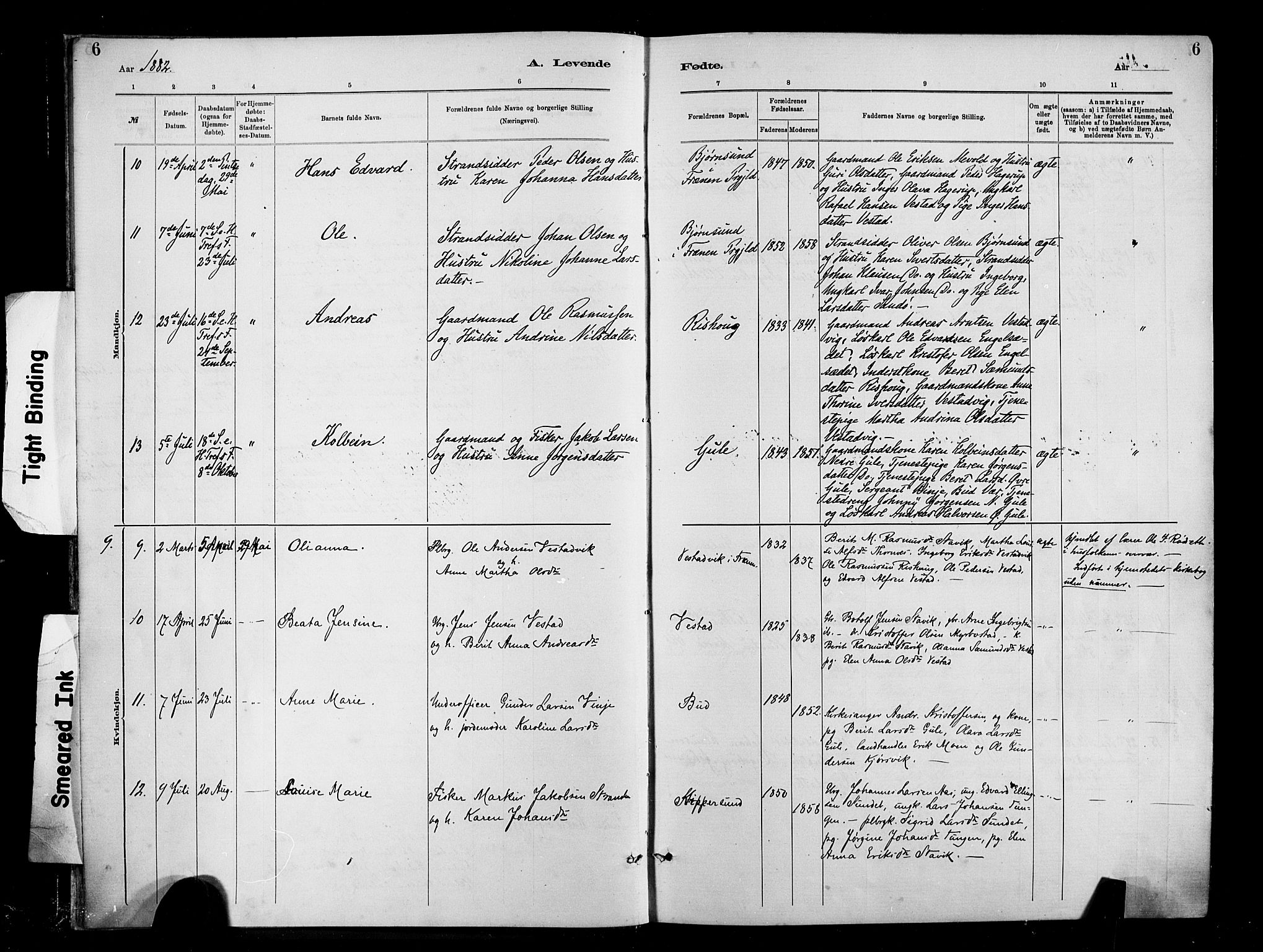 Ministerialprotokoller, klokkerbøker og fødselsregistre - Møre og Romsdal, AV/SAT-A-1454/566/L0769: Ministerialbok nr. 566A08, 1881-1903, s. 6