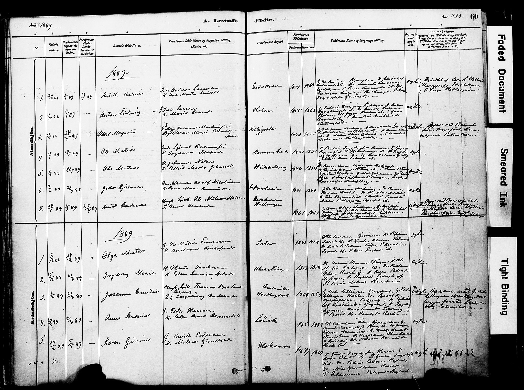 Ministerialprotokoller, klokkerbøker og fødselsregistre - Møre og Romsdal, SAT/A-1454/560/L0721: Ministerialbok nr. 560A05, 1878-1917, s. 60