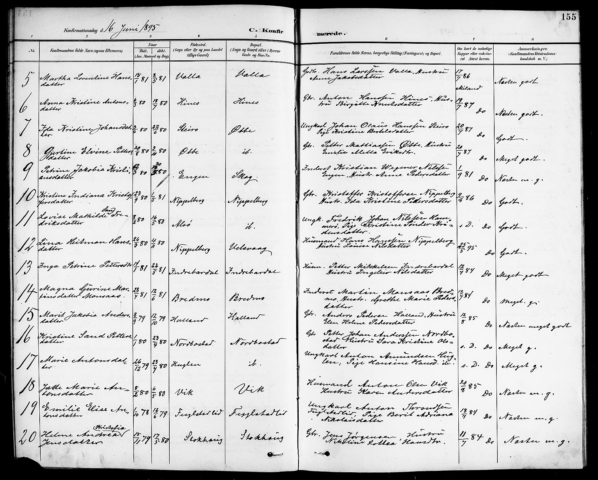 Ministerialprotokoller, klokkerbøker og fødselsregistre - Nordland, AV/SAT-A-1459/838/L0559: Klokkerbok nr. 838C06, 1893-1910, s. 155