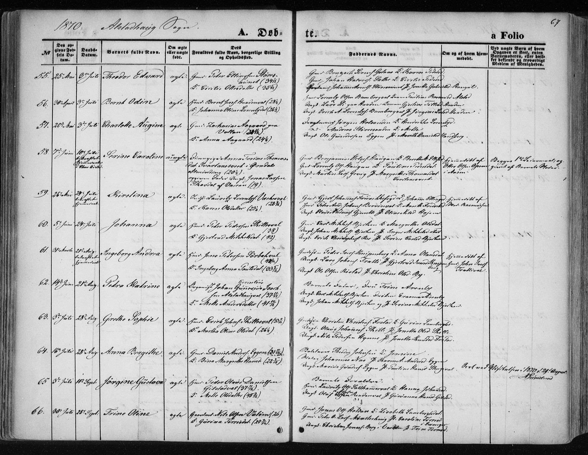 Ministerialprotokoller, klokkerbøker og fødselsregistre - Nord-Trøndelag, AV/SAT-A-1458/717/L0157: Ministerialbok nr. 717A08 /1, 1863-1877, s. 67