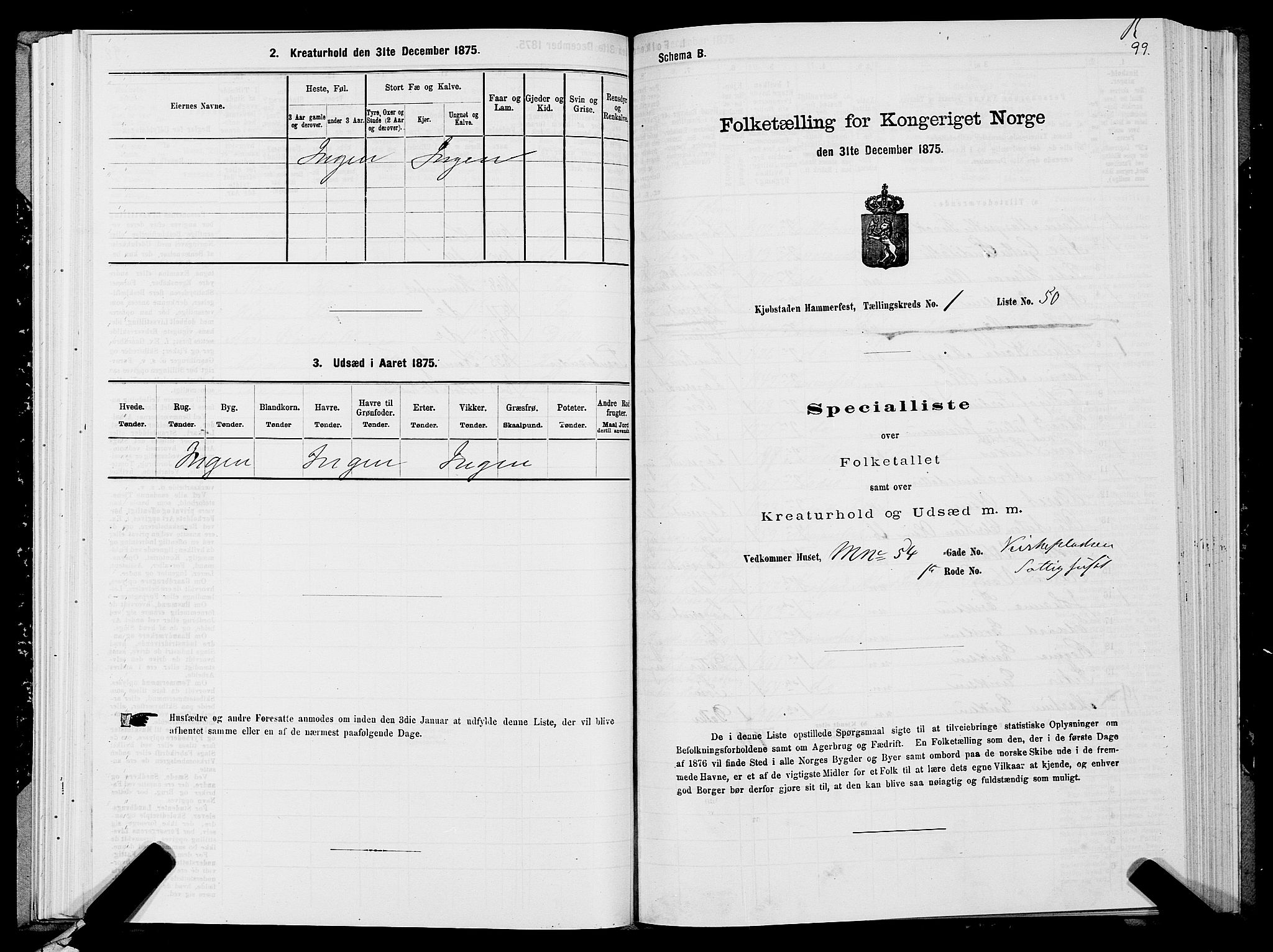 SATØ, Folketelling 1875 for 2001B Hammerfest prestegjeld, Hammerfest kjøpstad, 1875, s. 1099